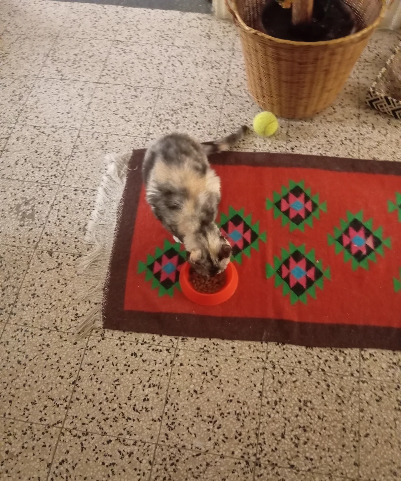 image-11