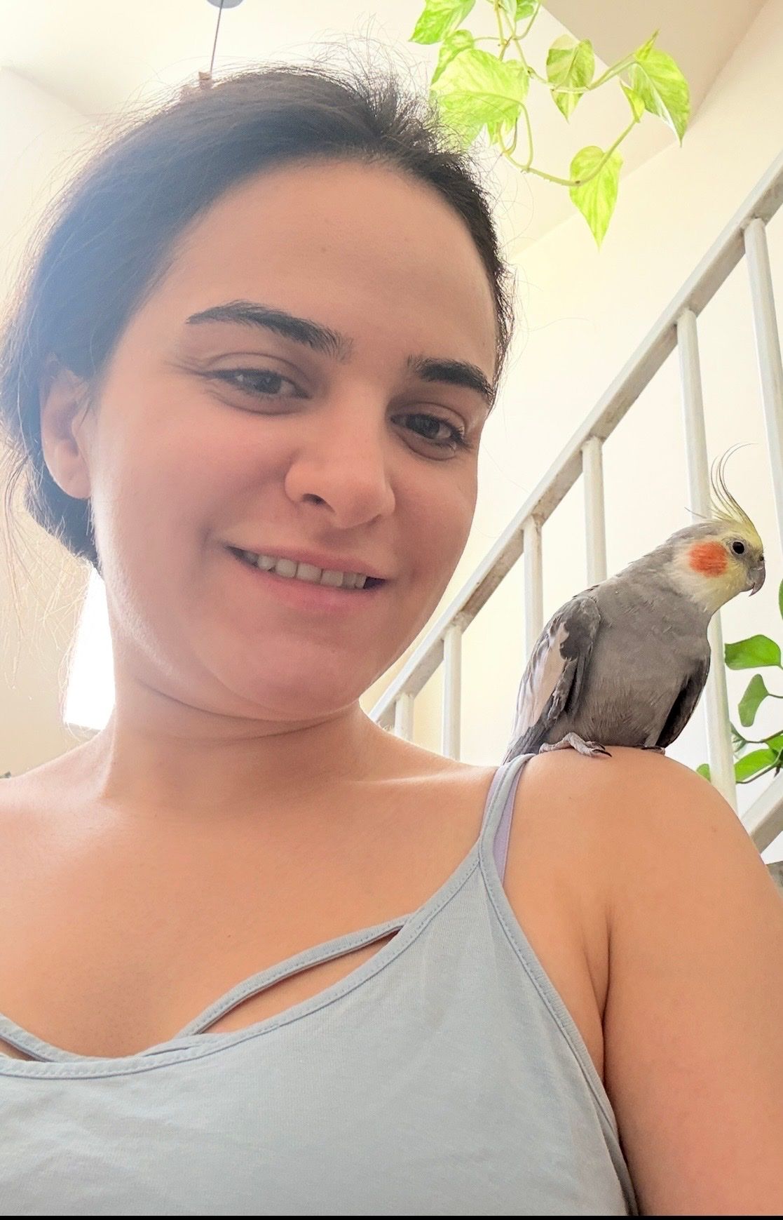 image-6