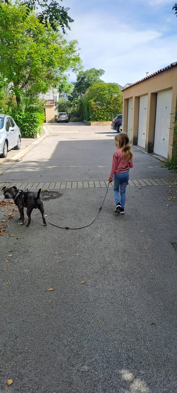 image-35