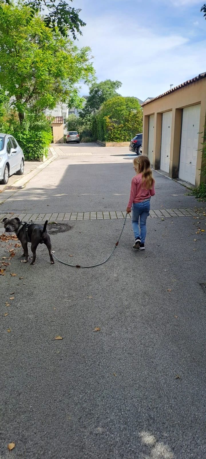 image-35