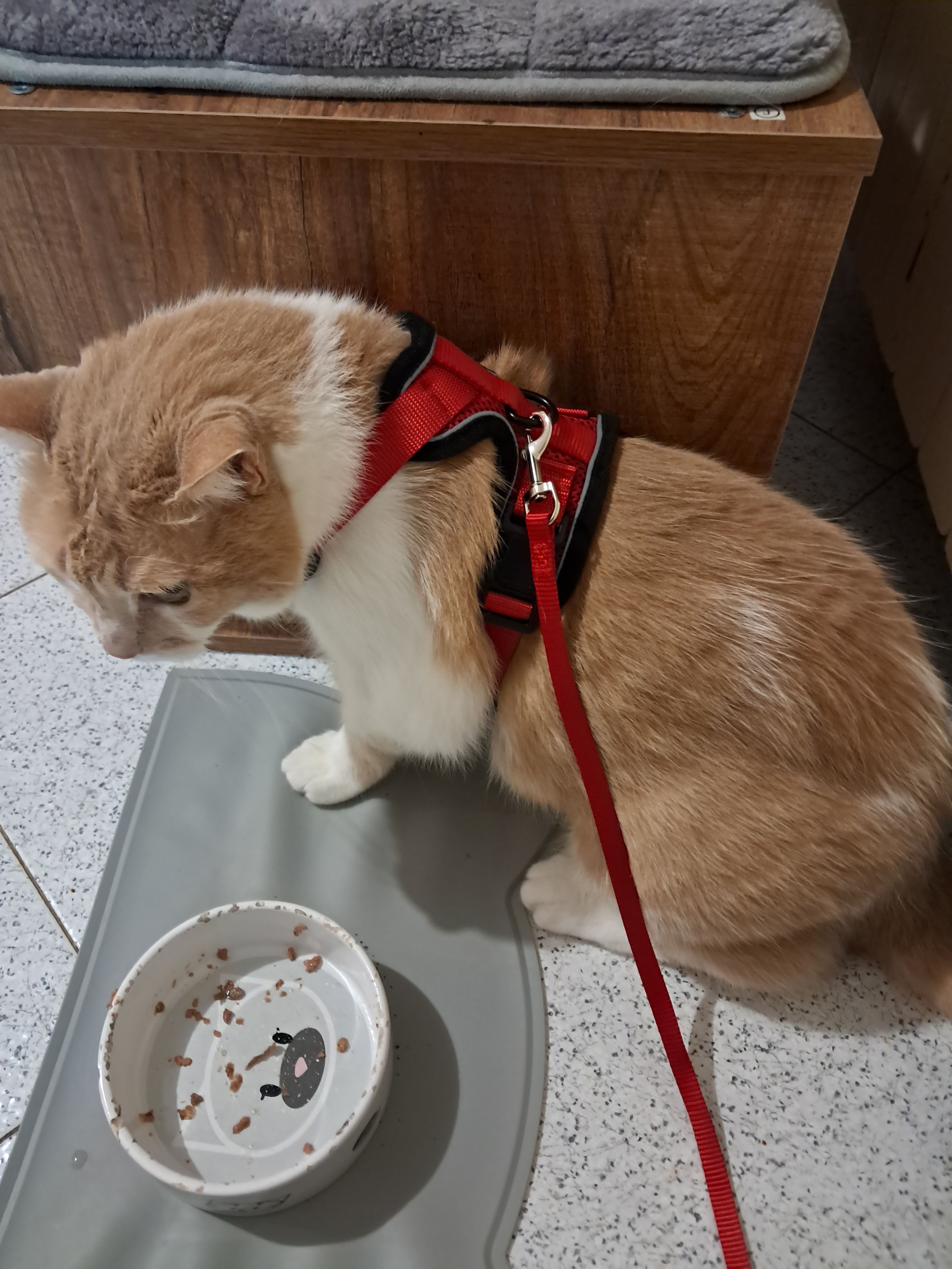 image-22