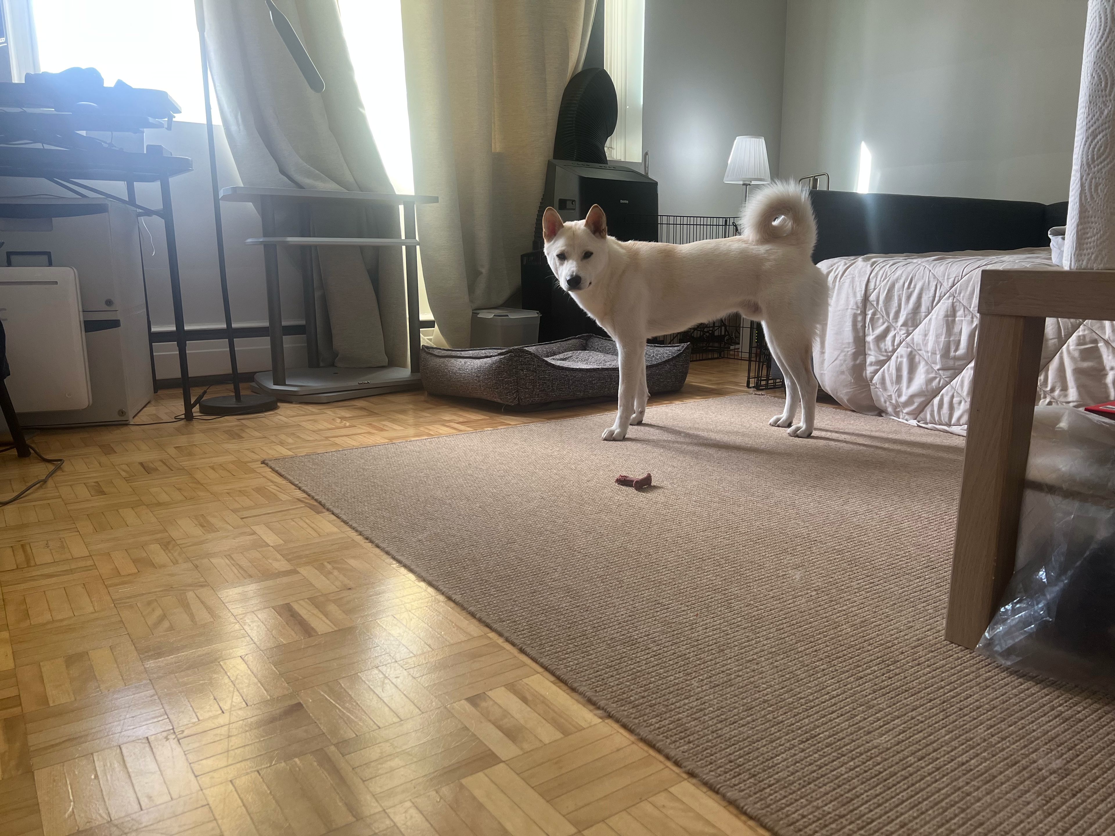 image-13