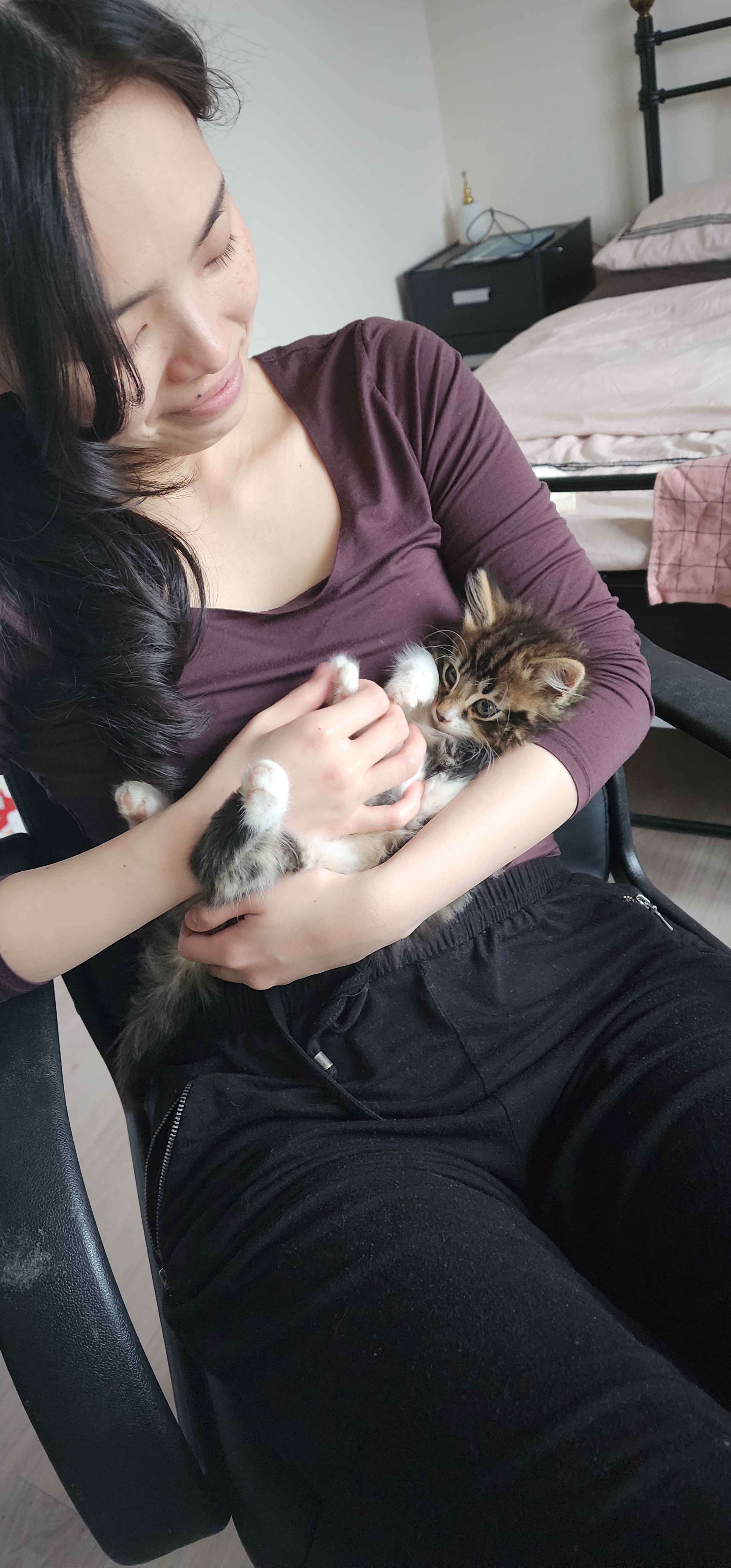 image-7