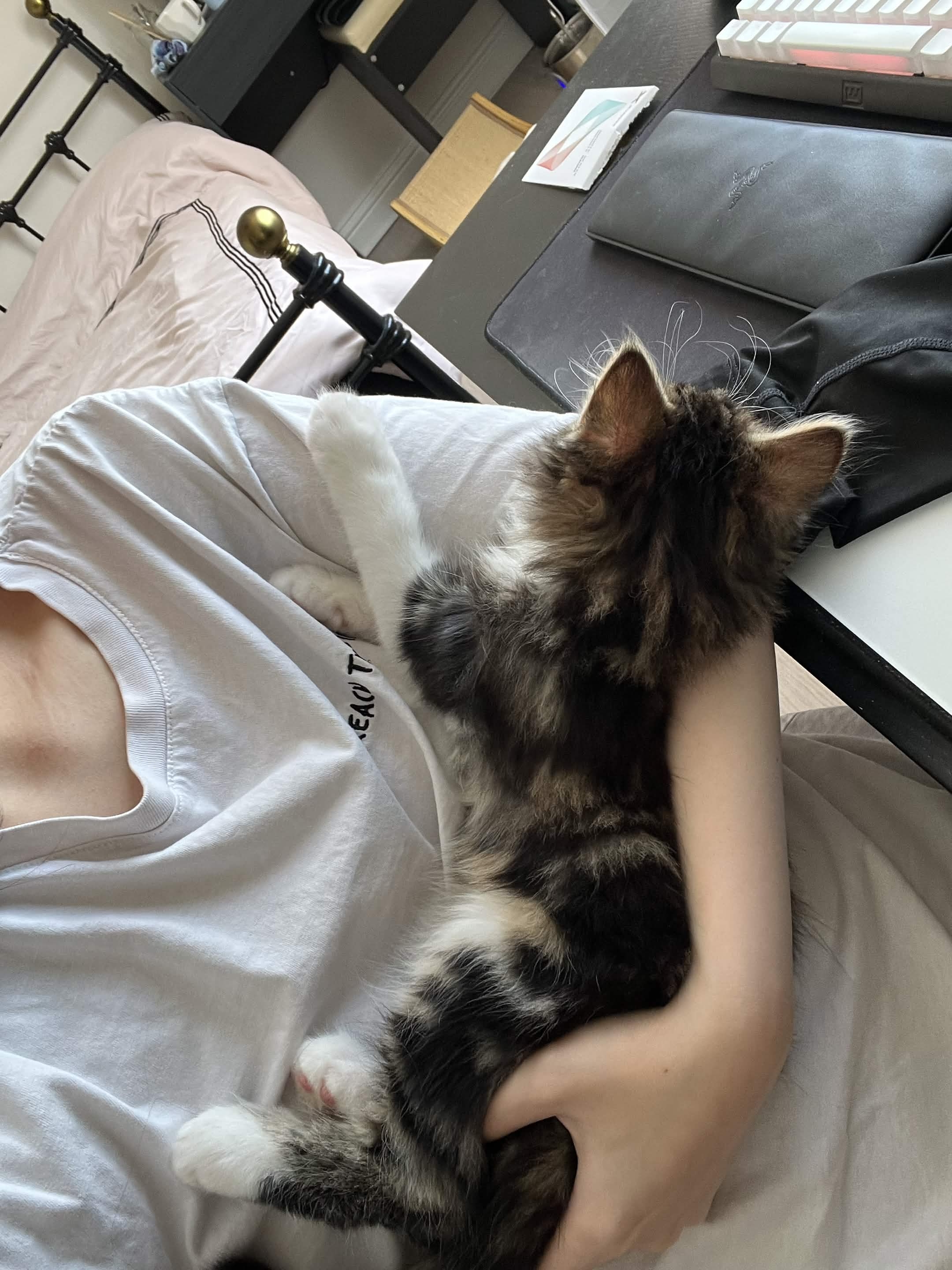 image-6