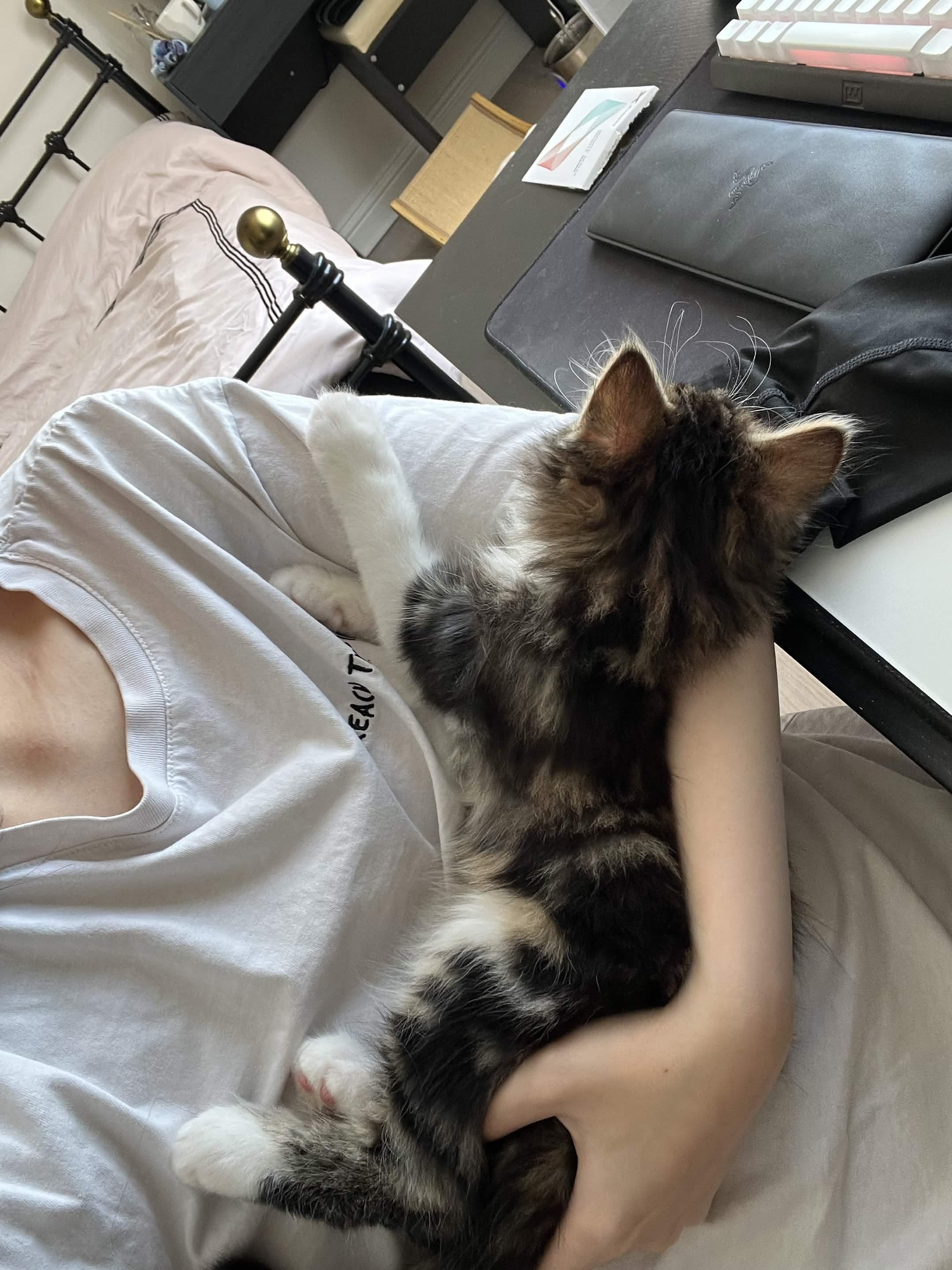 image-6