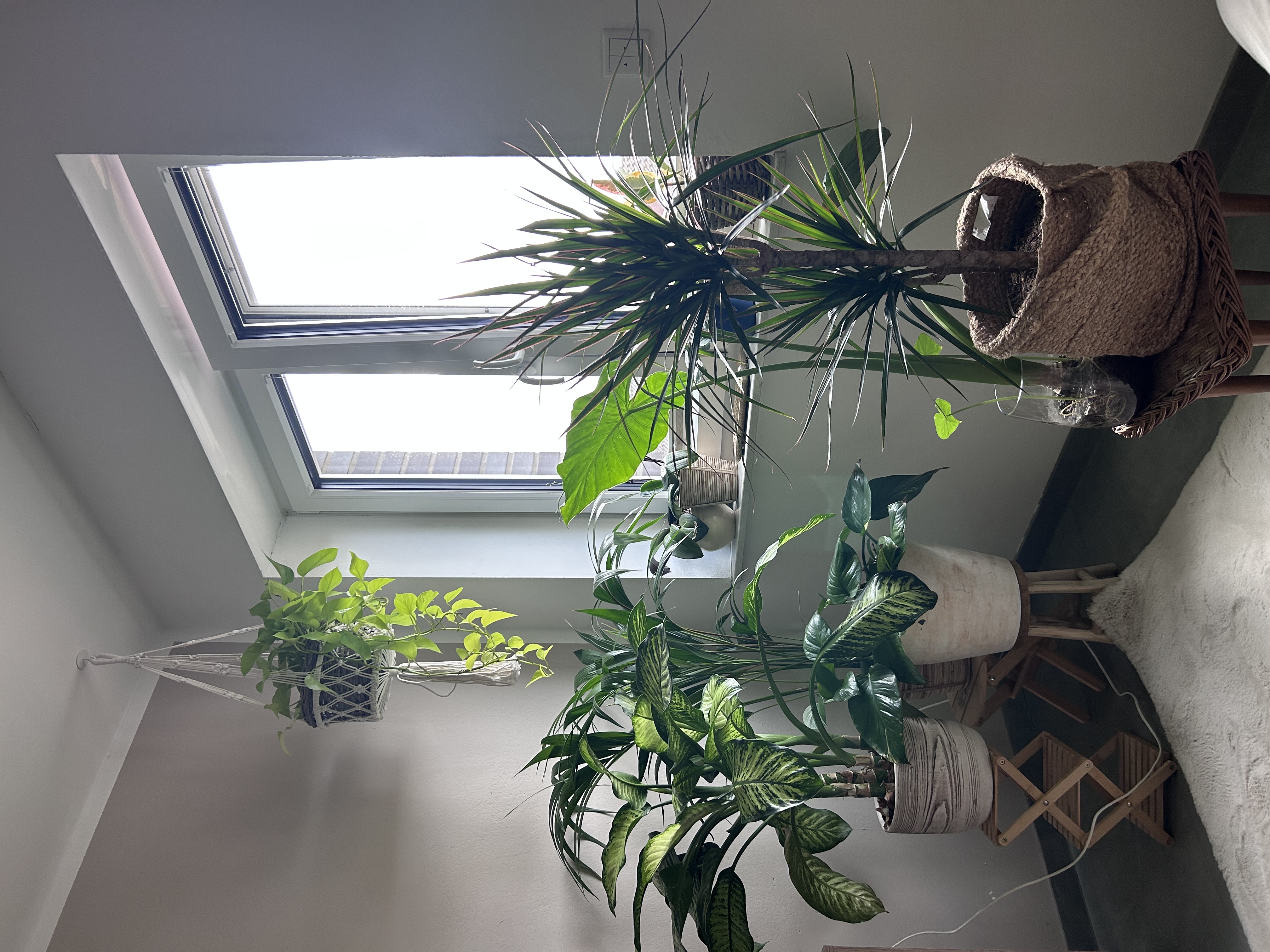 image-16