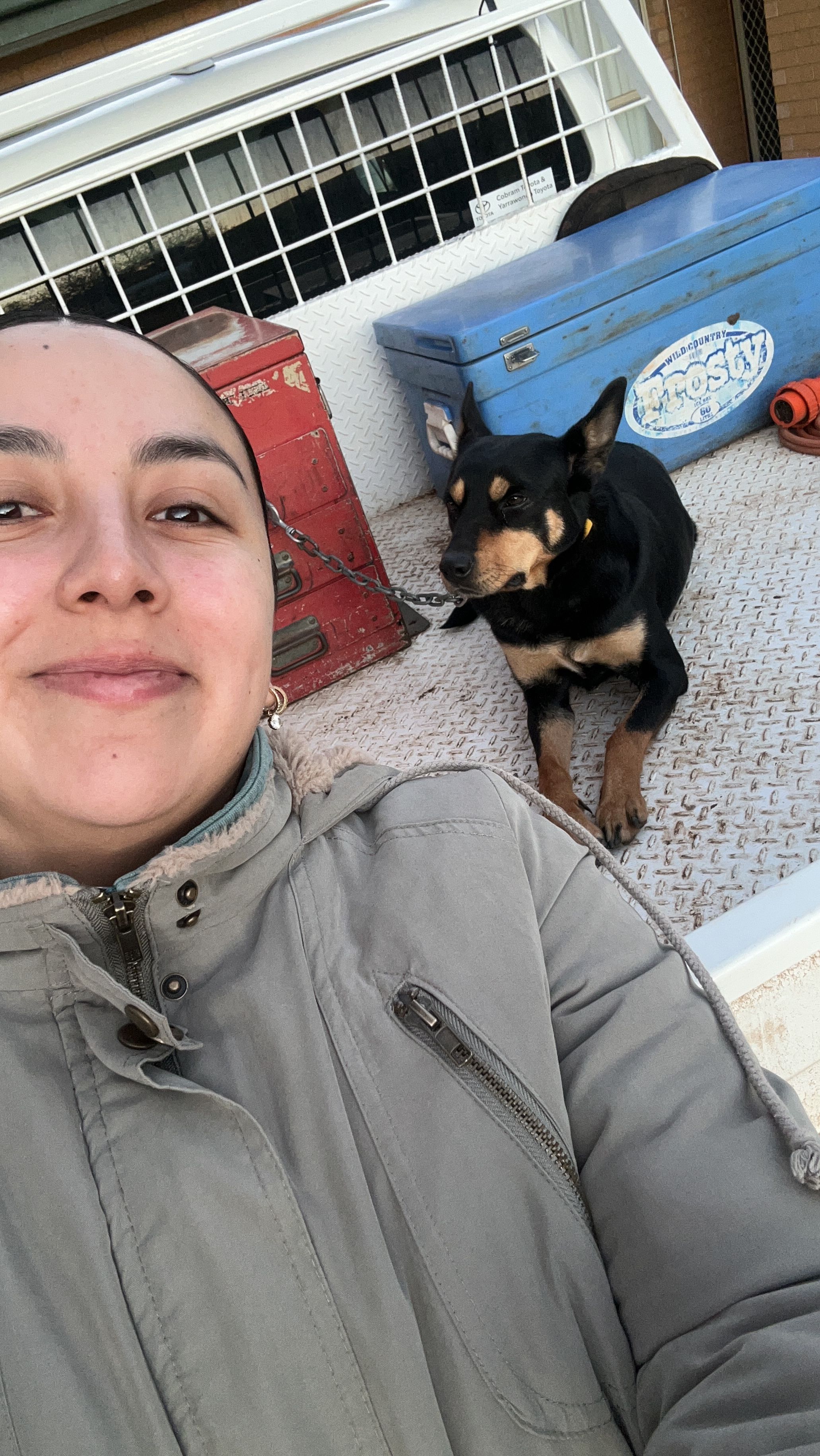 image-12
