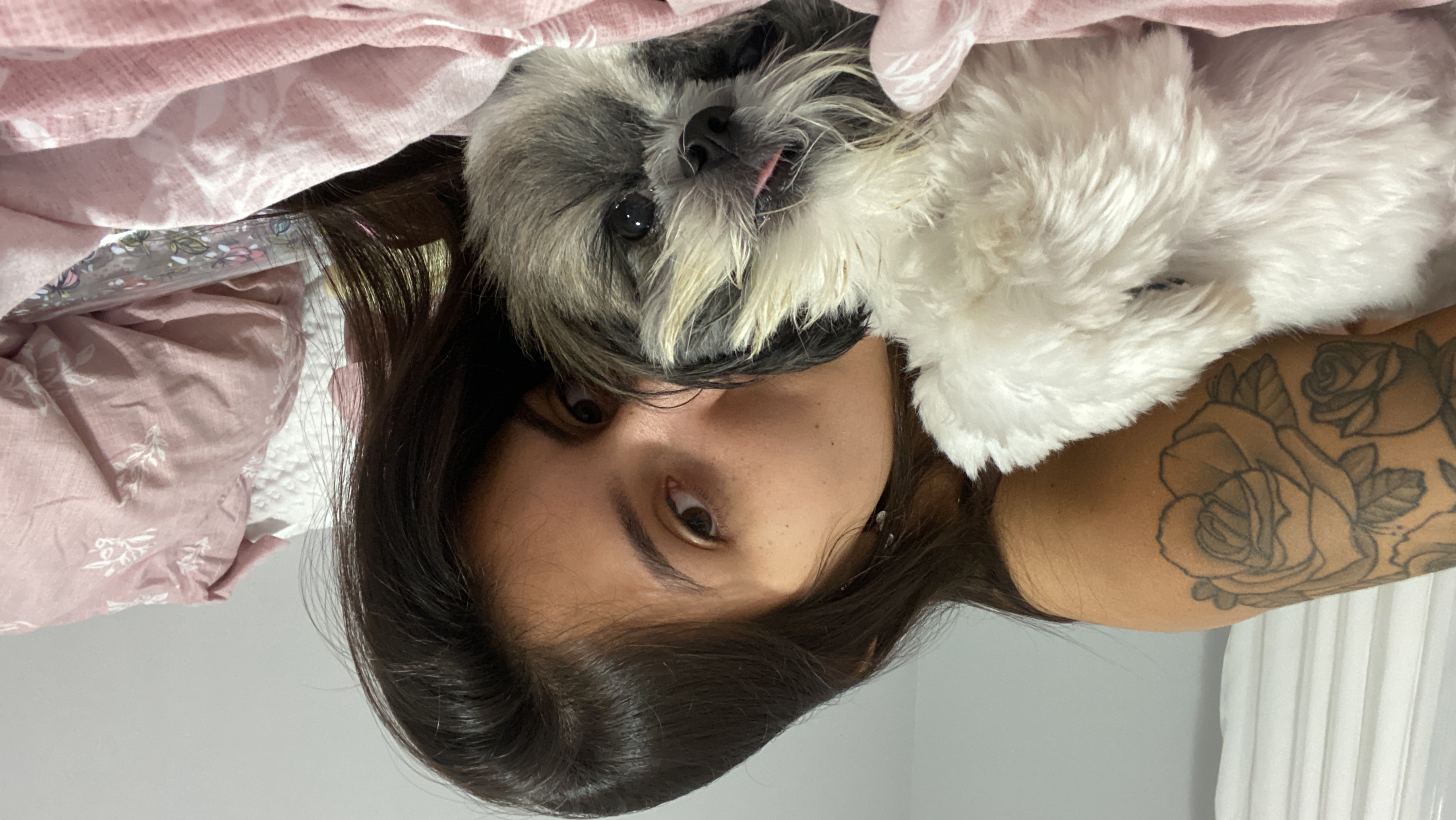 image-5