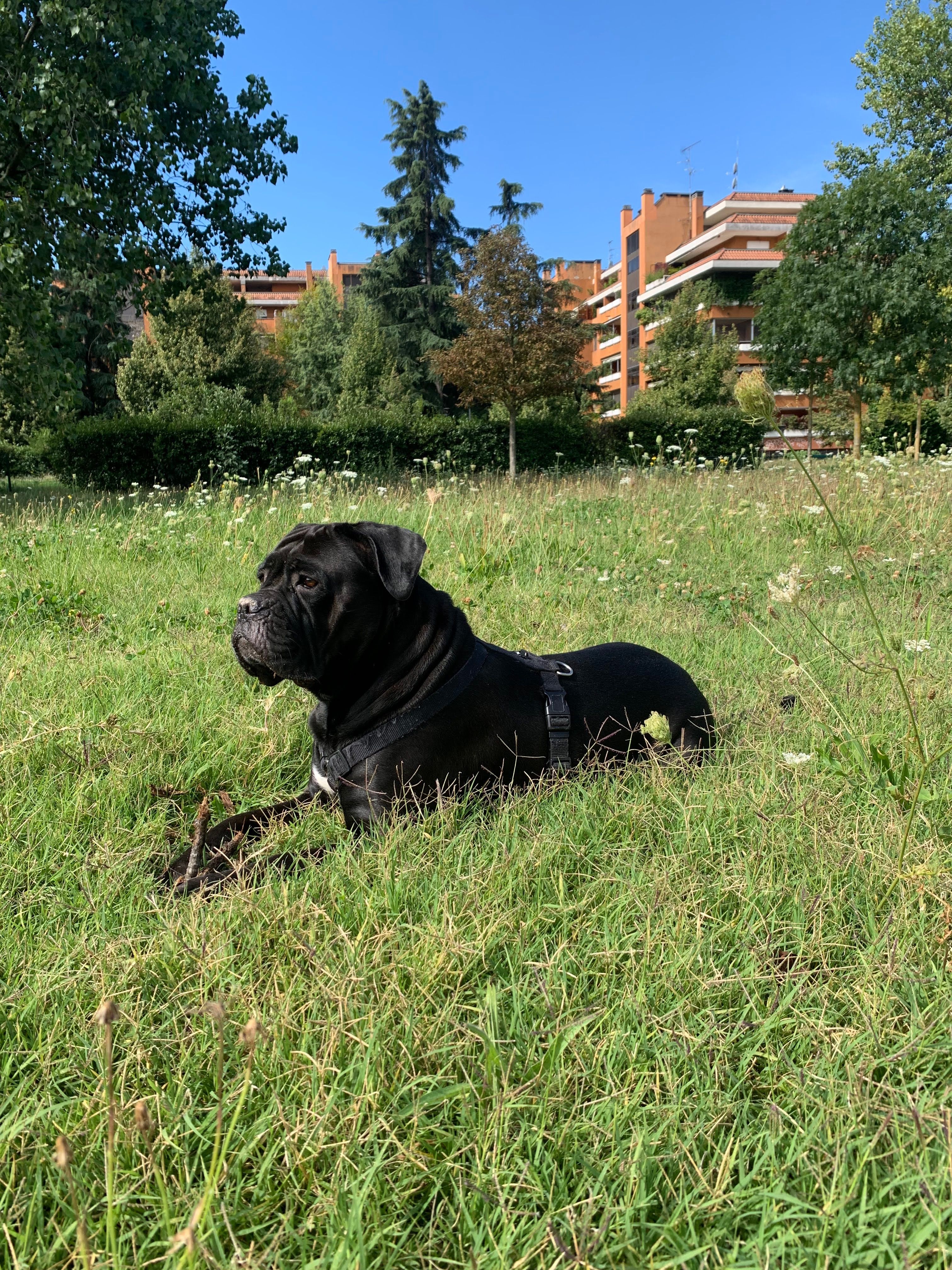 image-11