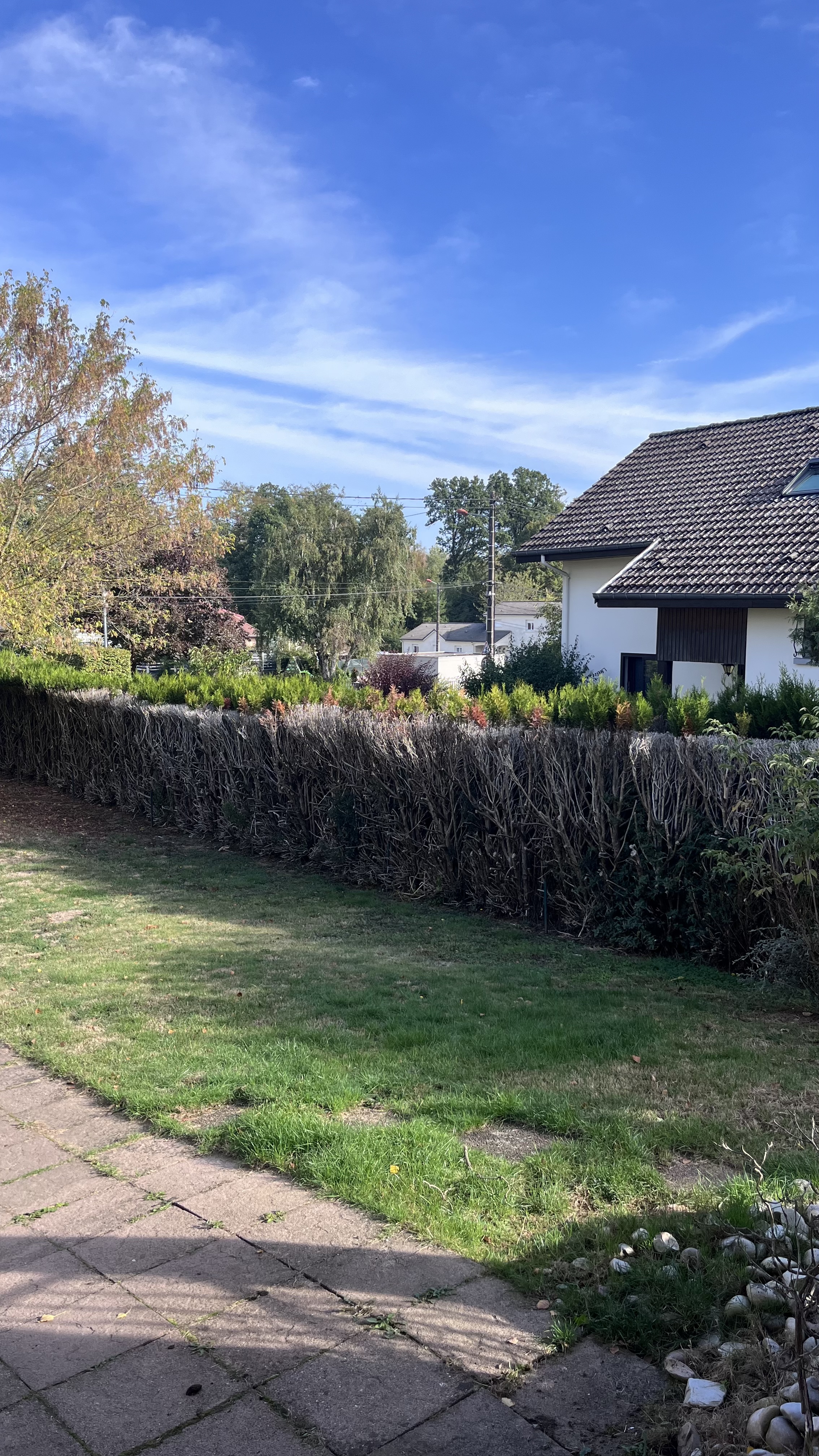 image-20