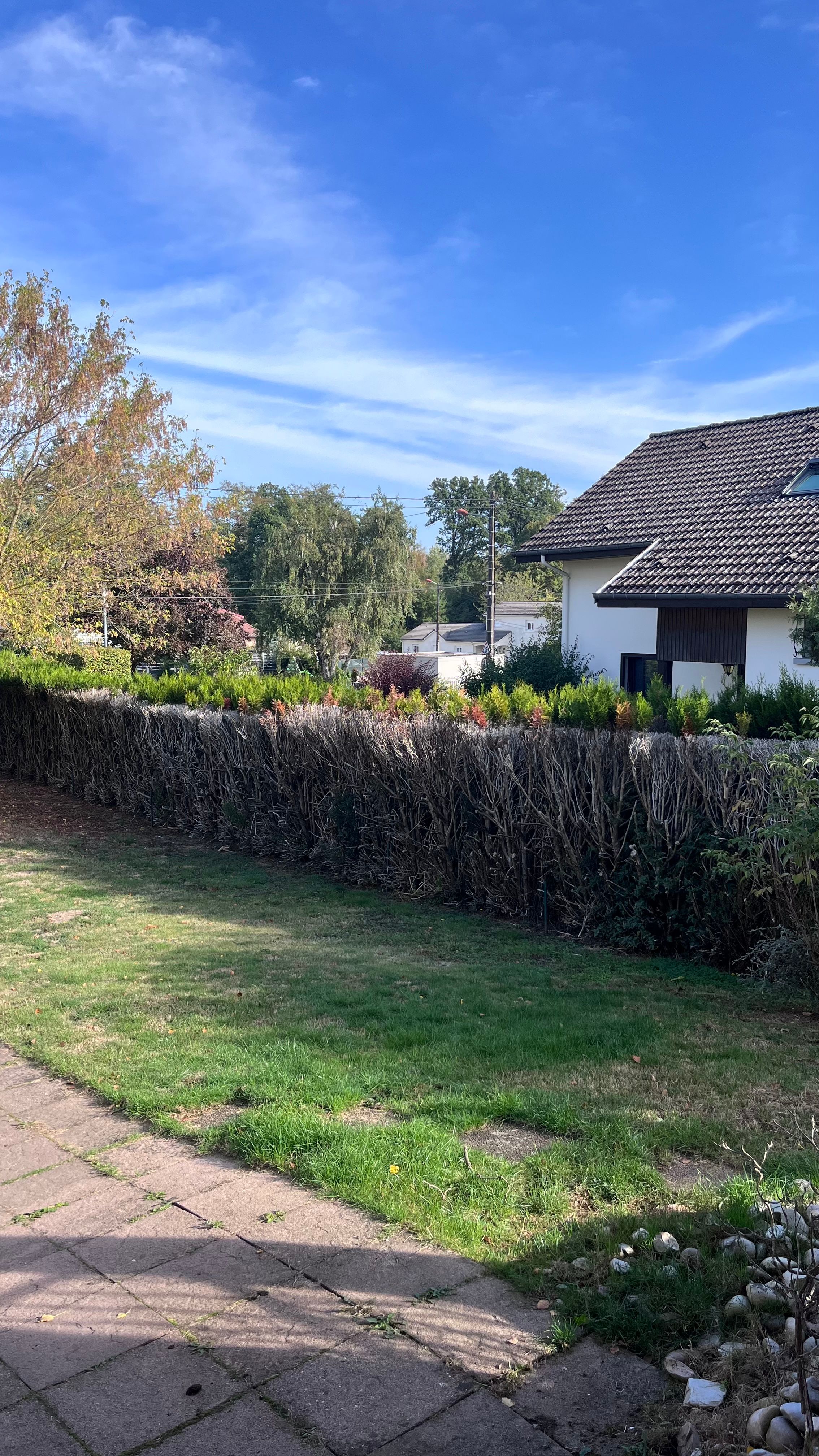 image-20