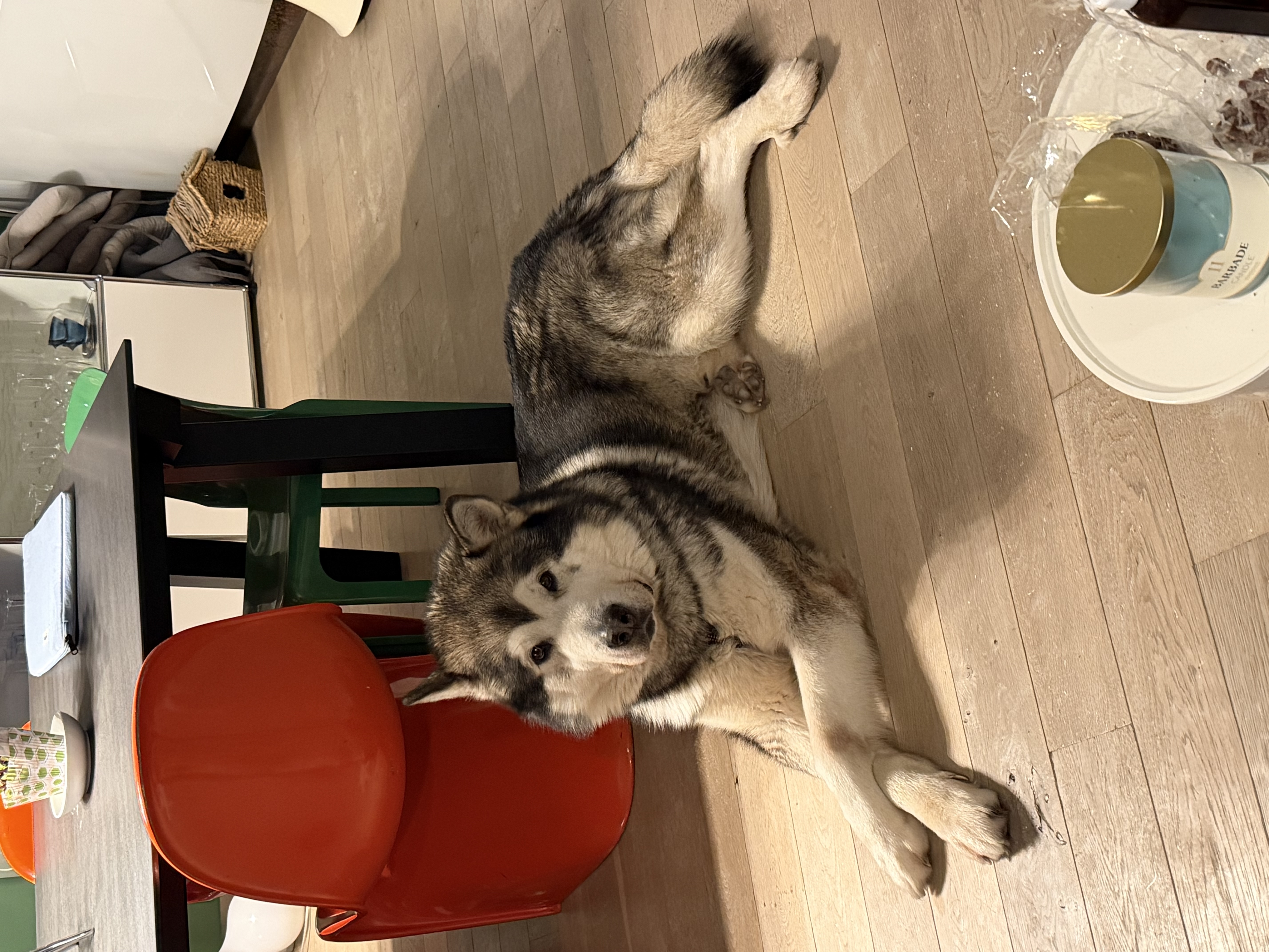 image-8