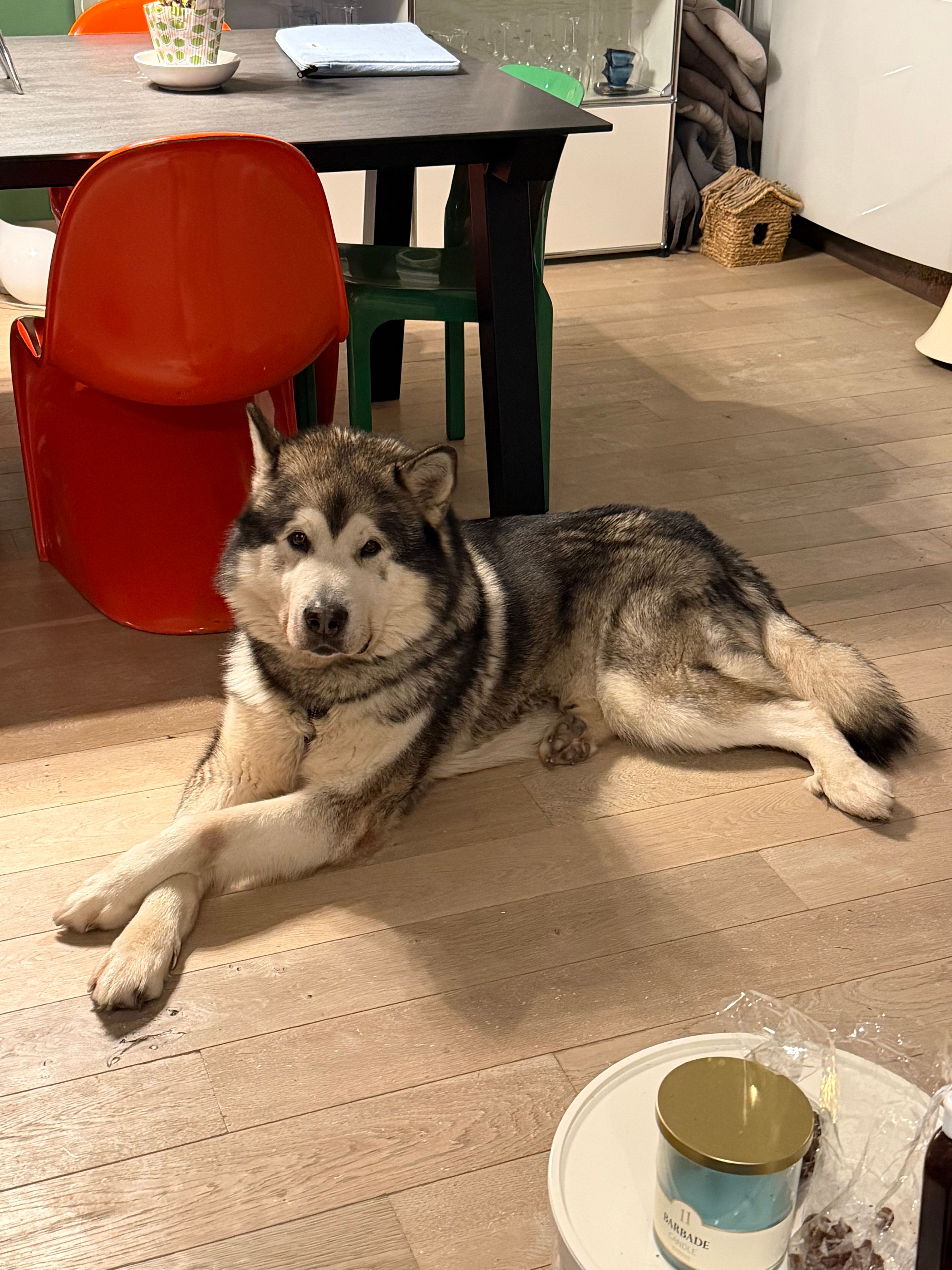 image-8