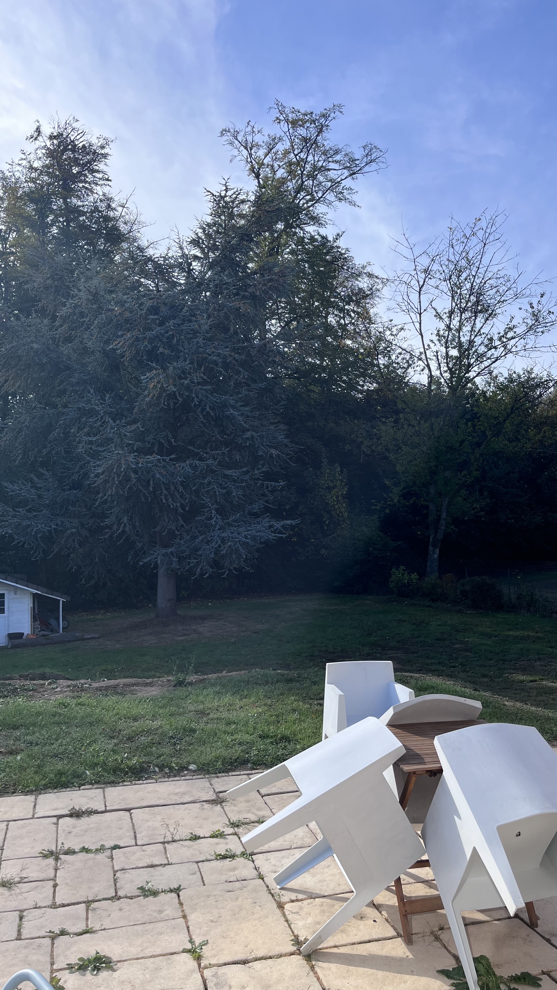 image-19