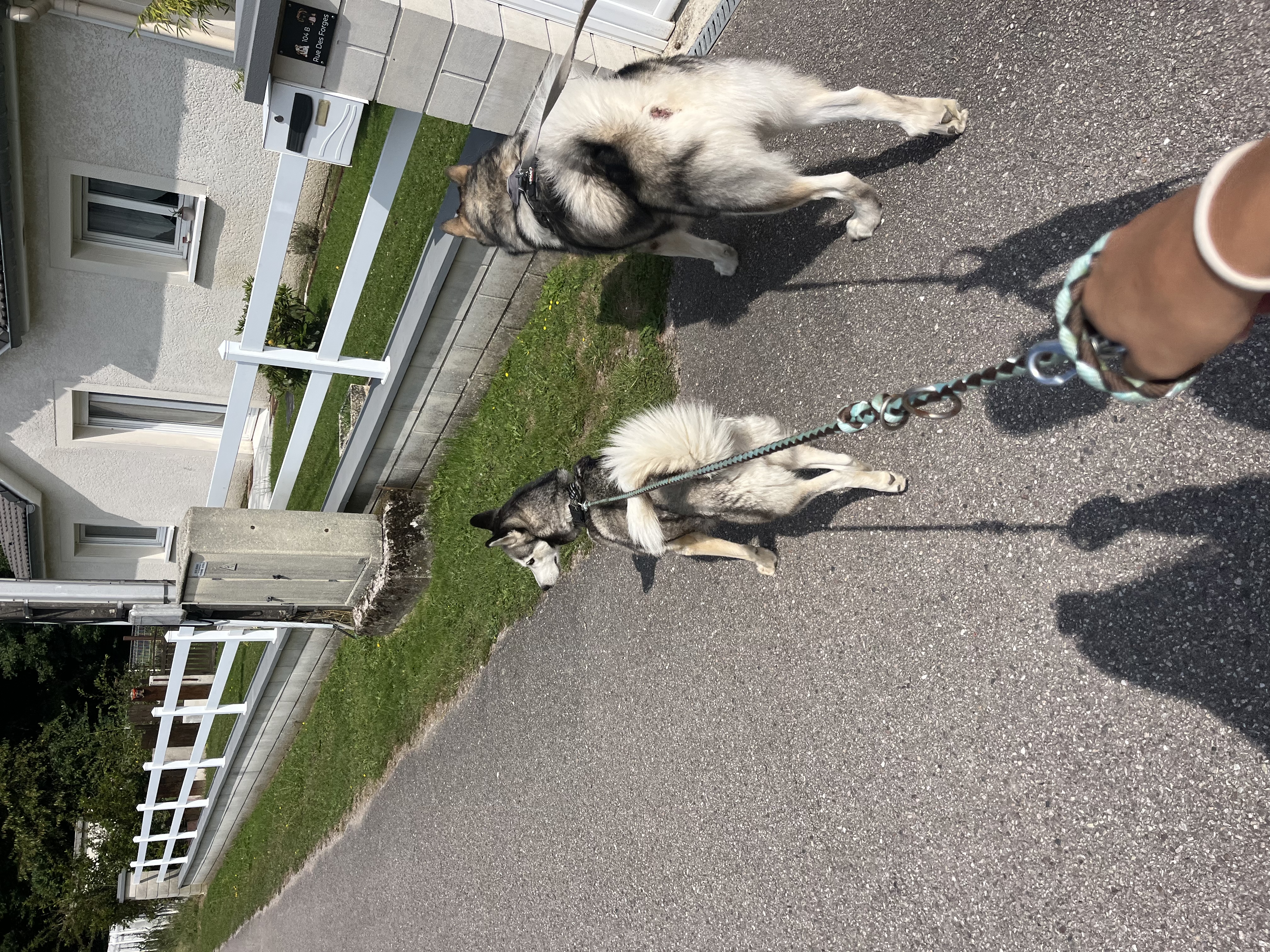 image-9