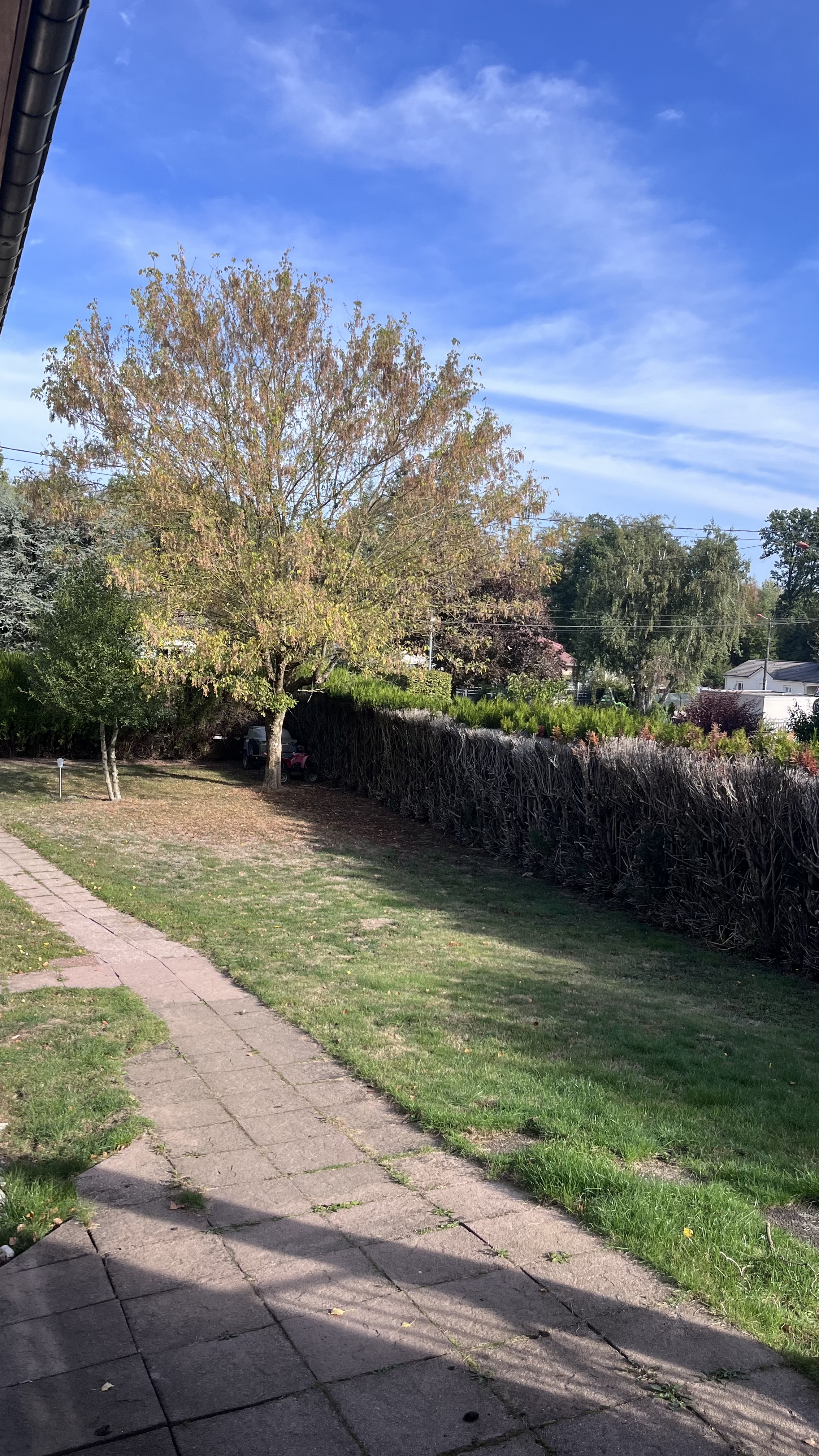 image-18