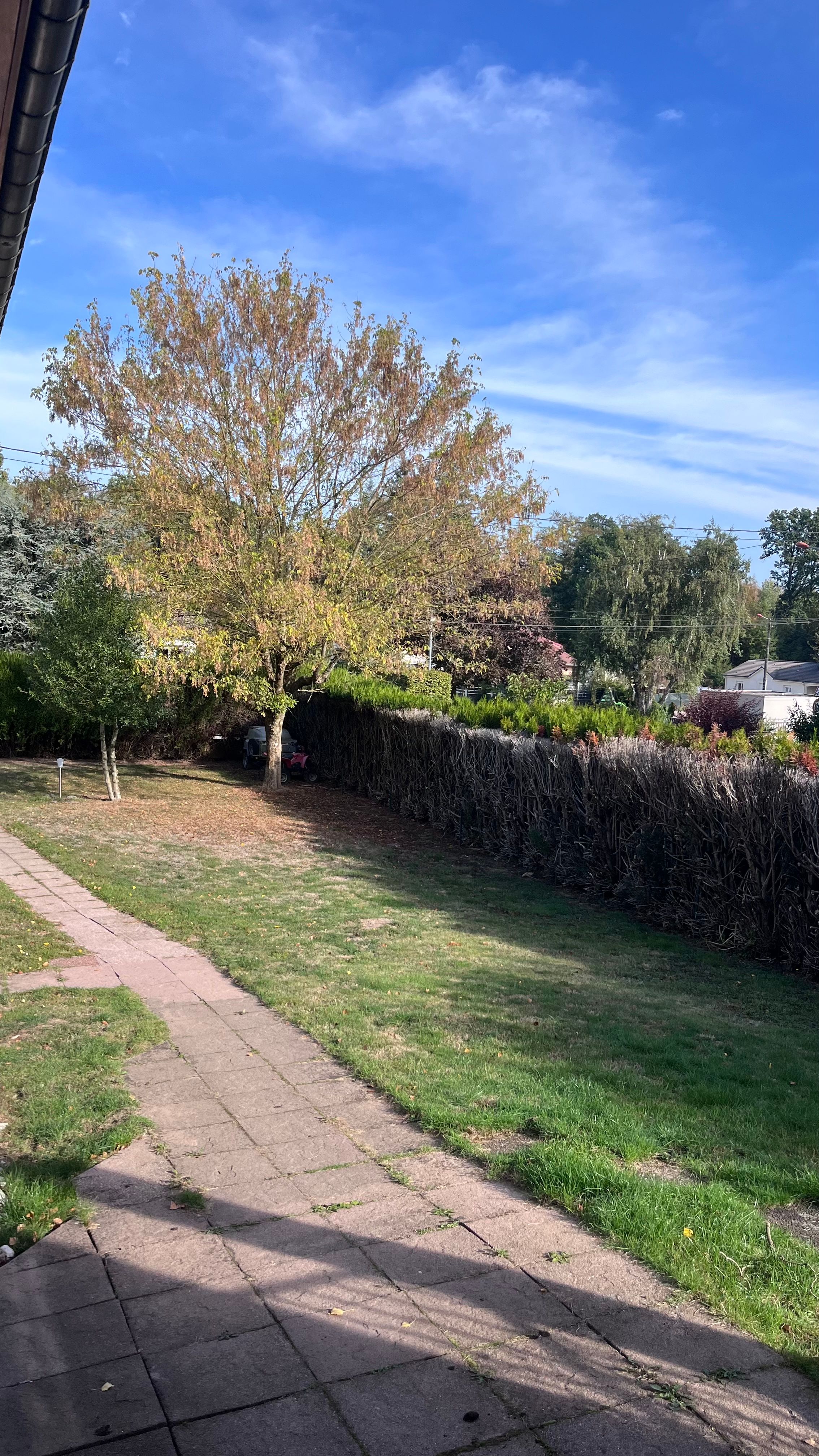 image-18