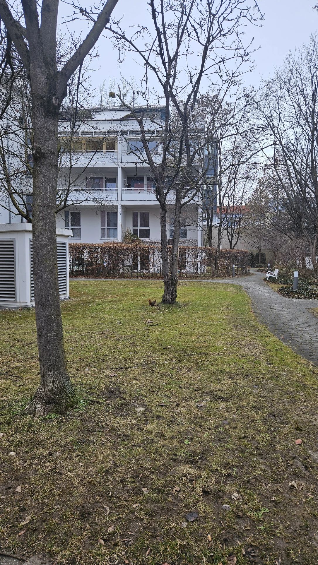 image-13