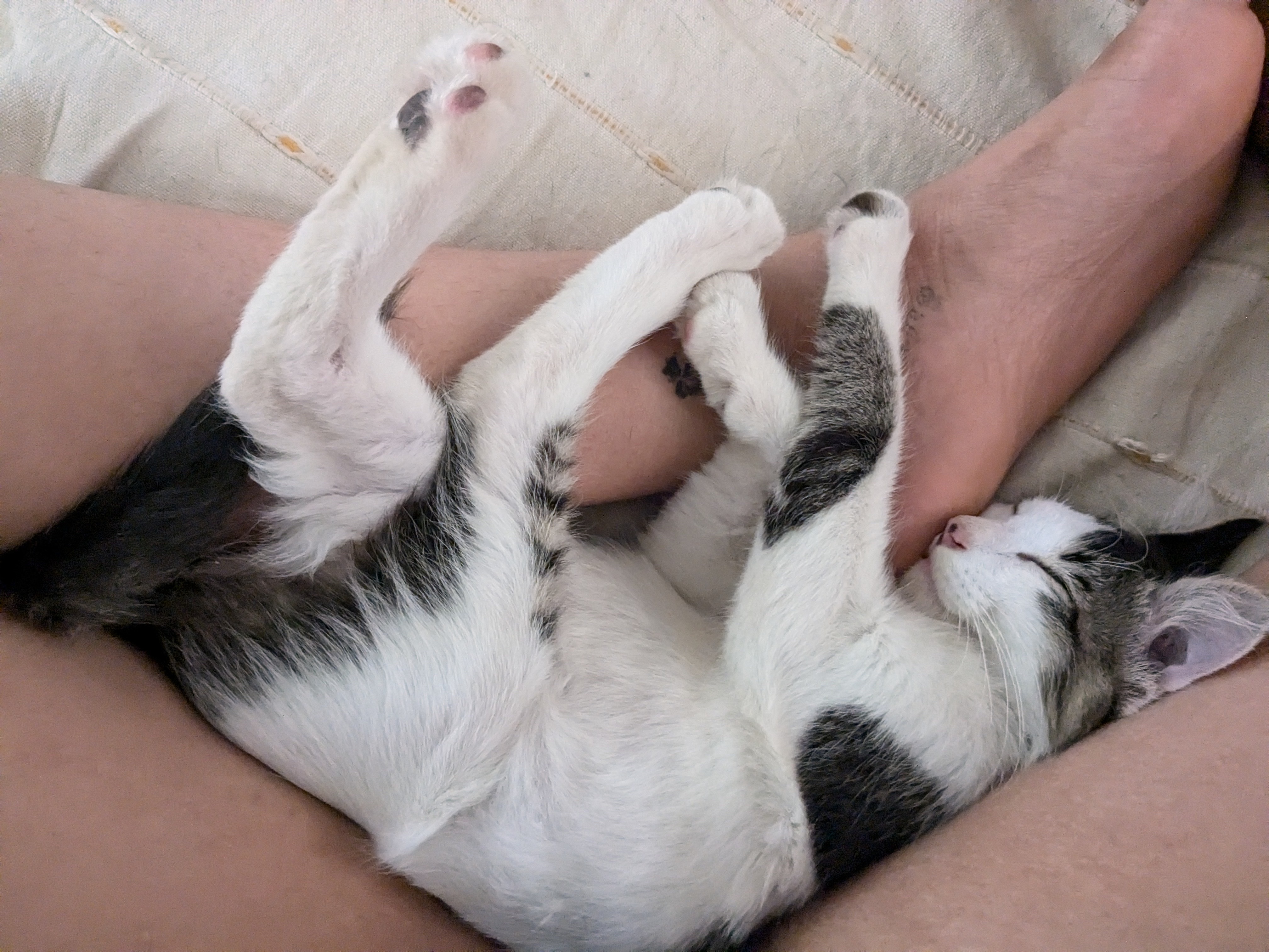 image-8