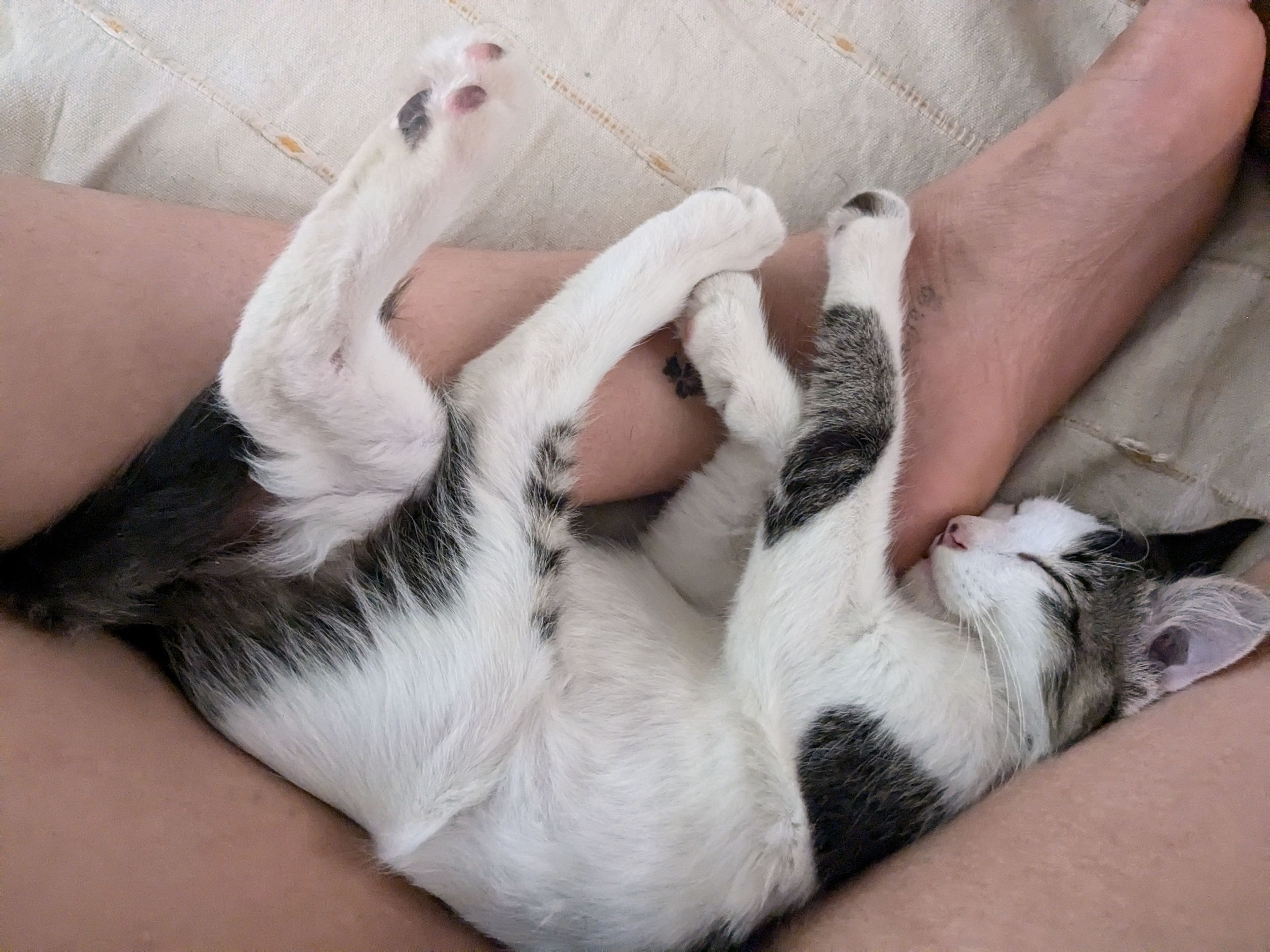 image-8