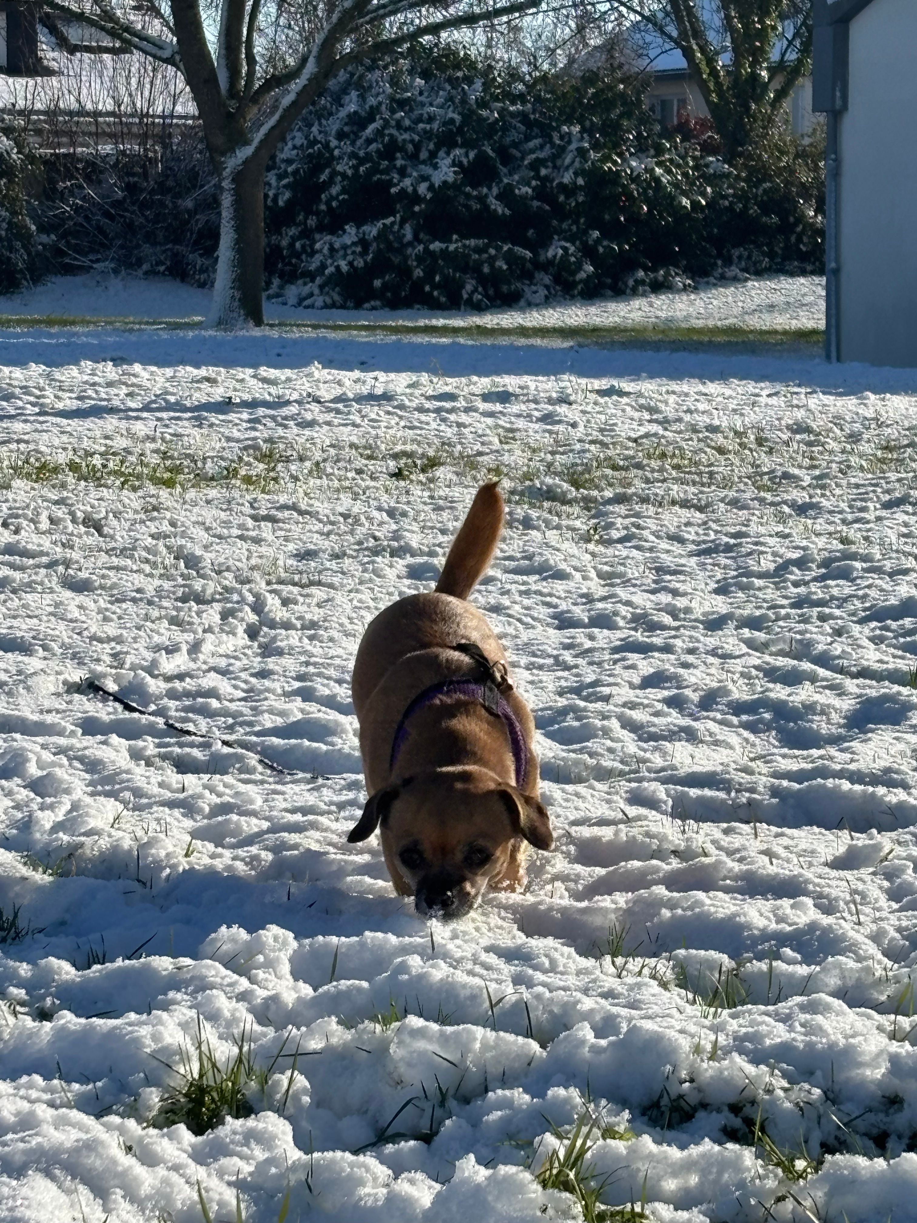 image-6
