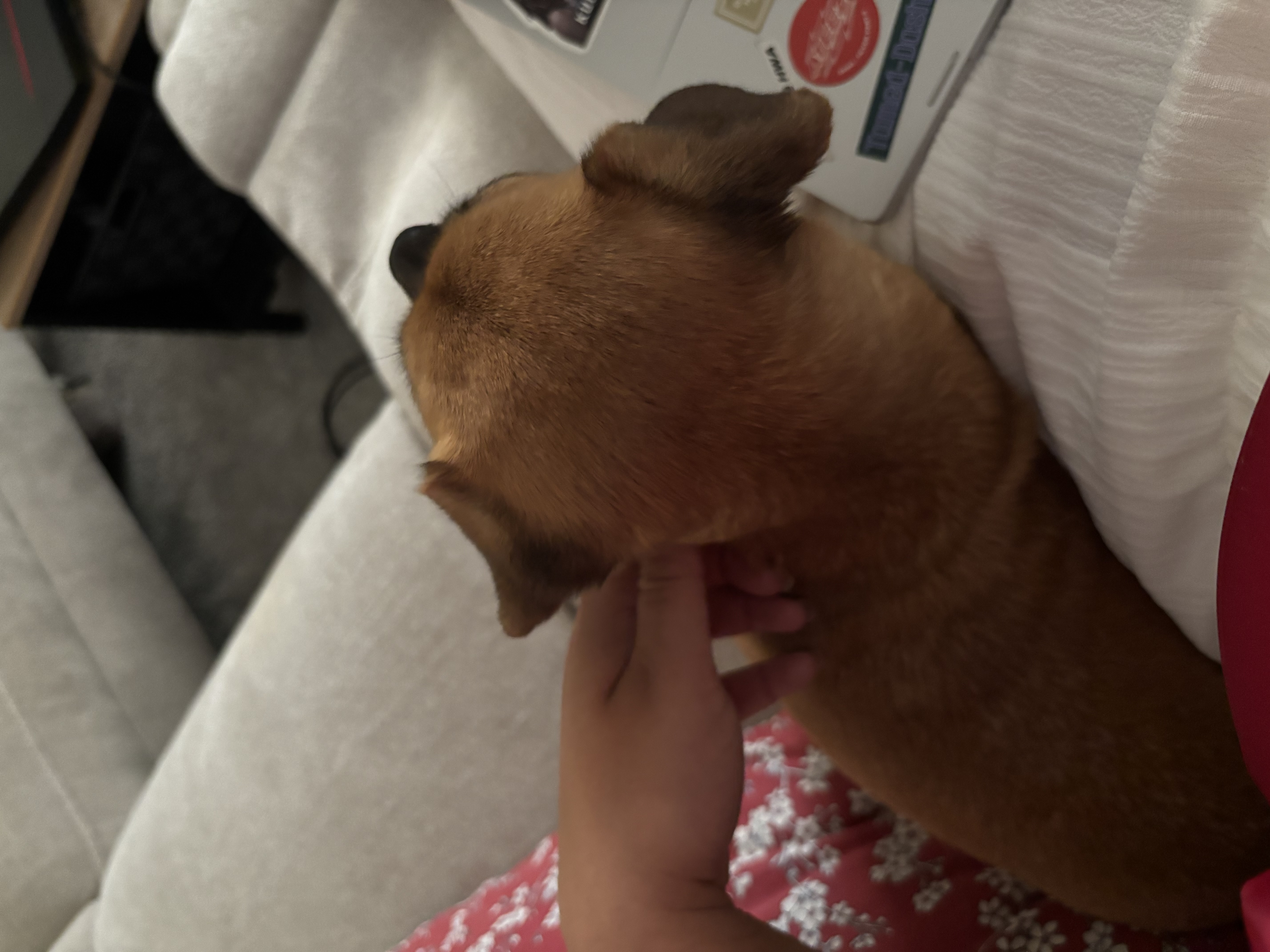 image-8