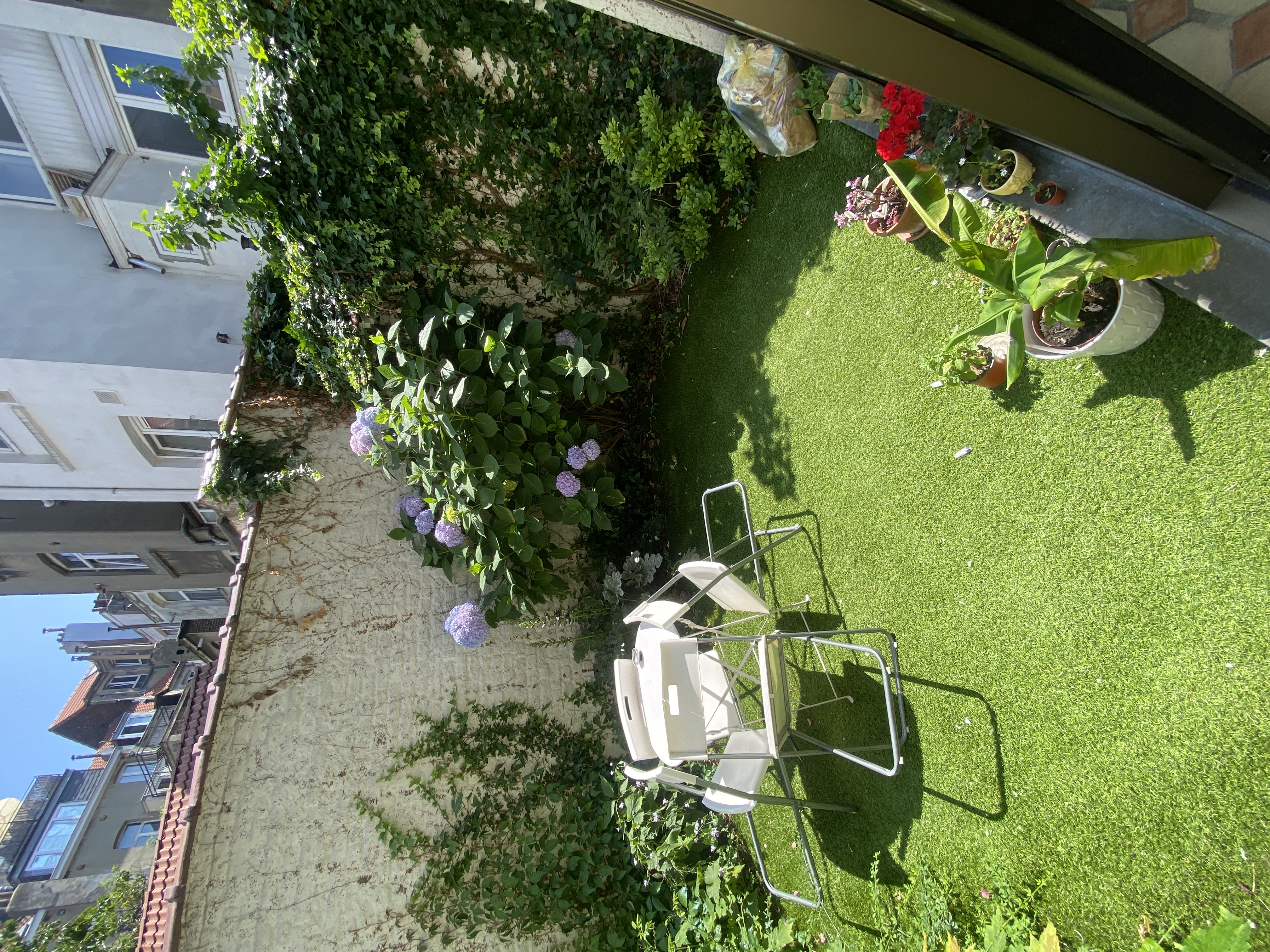 image-20