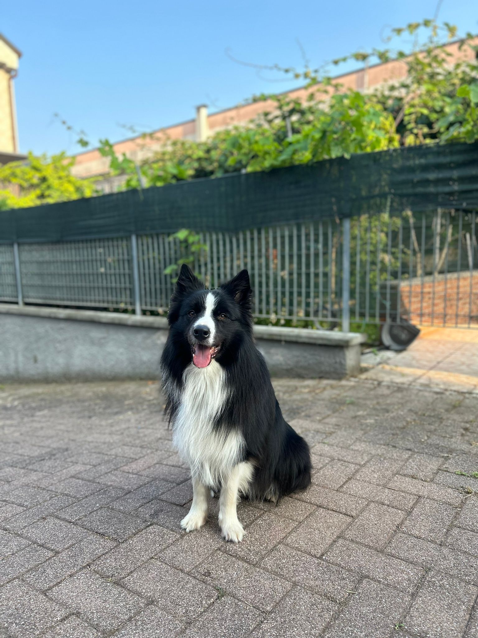 image-16