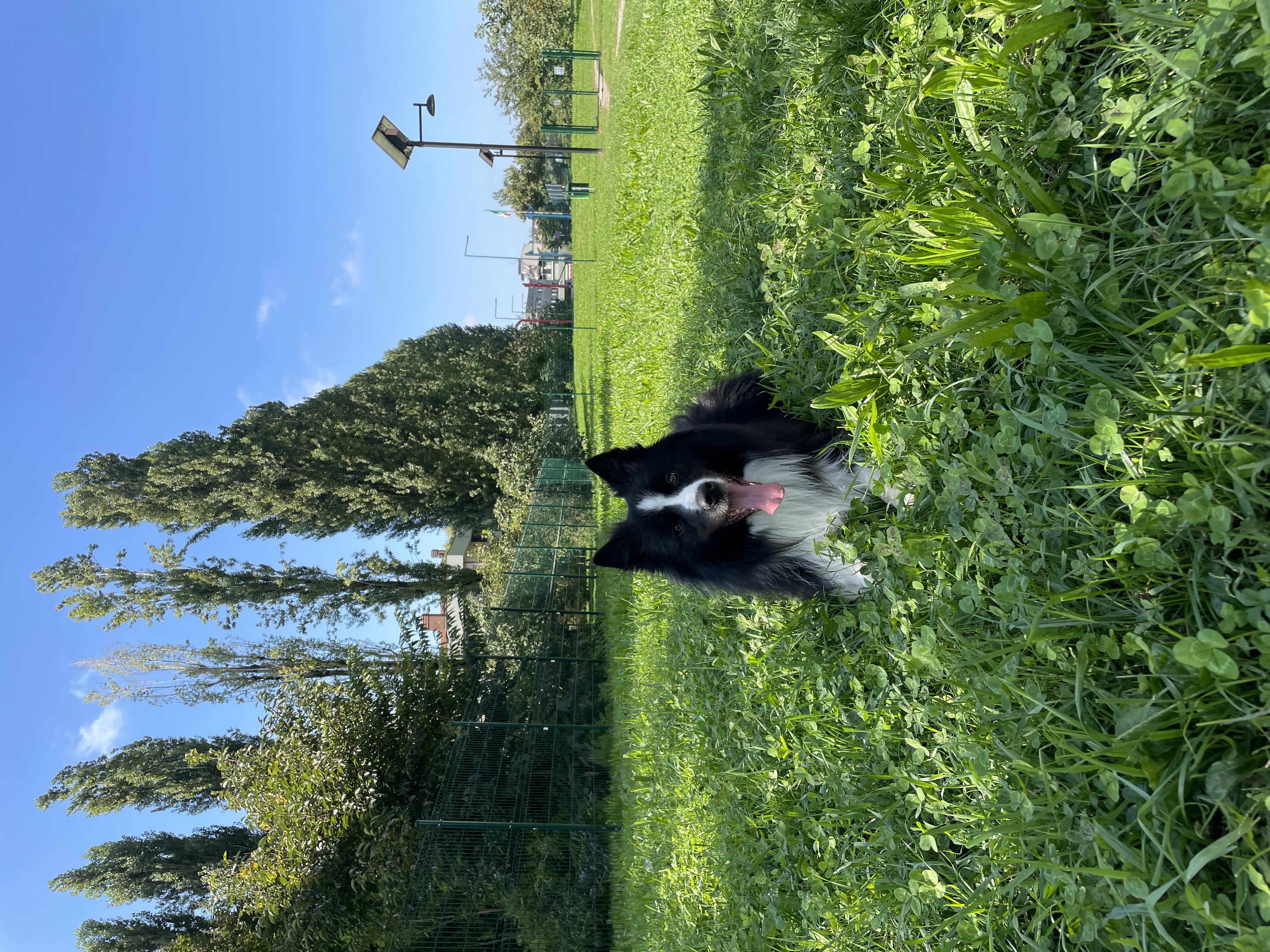 image-14