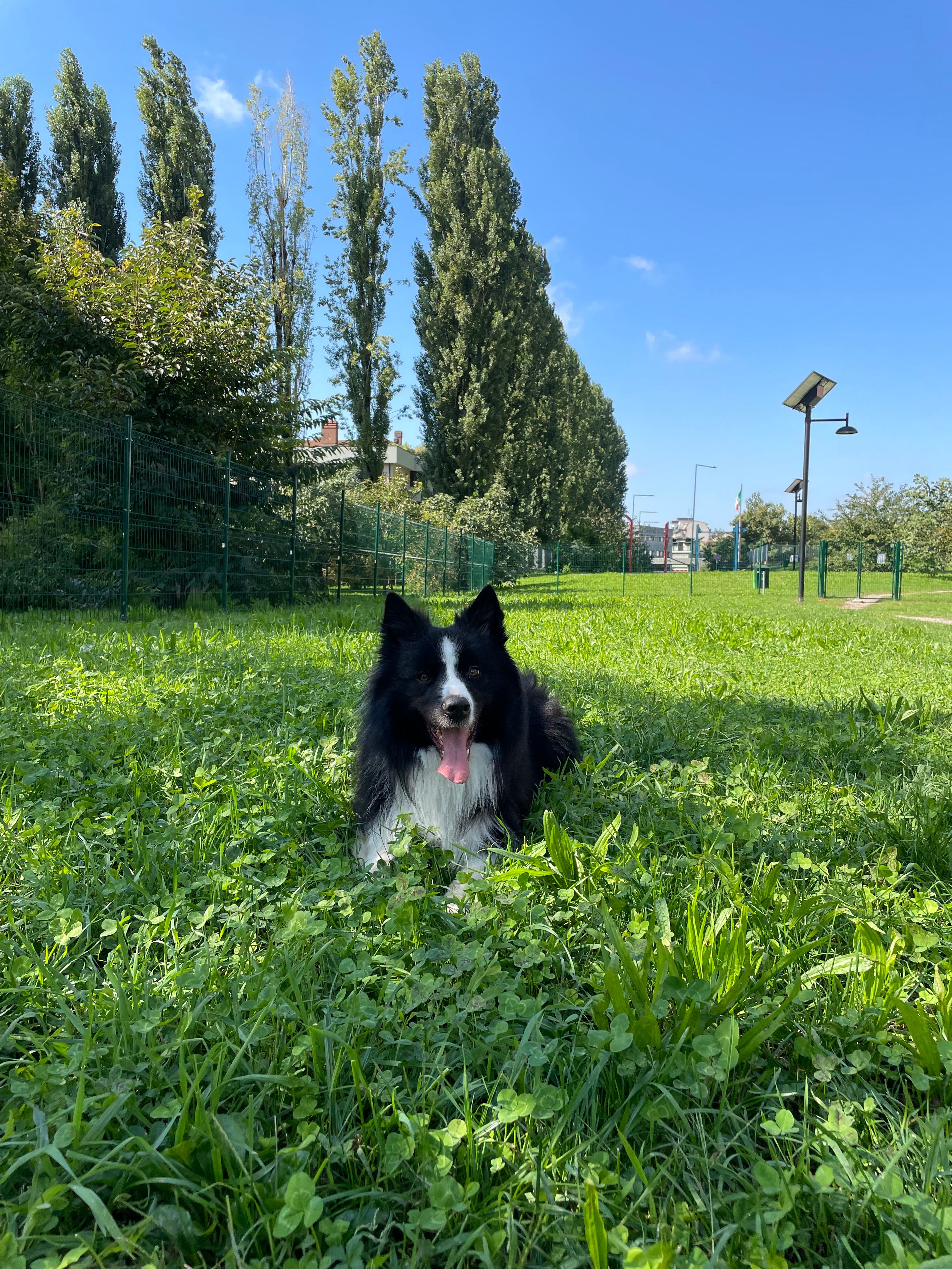 image-14