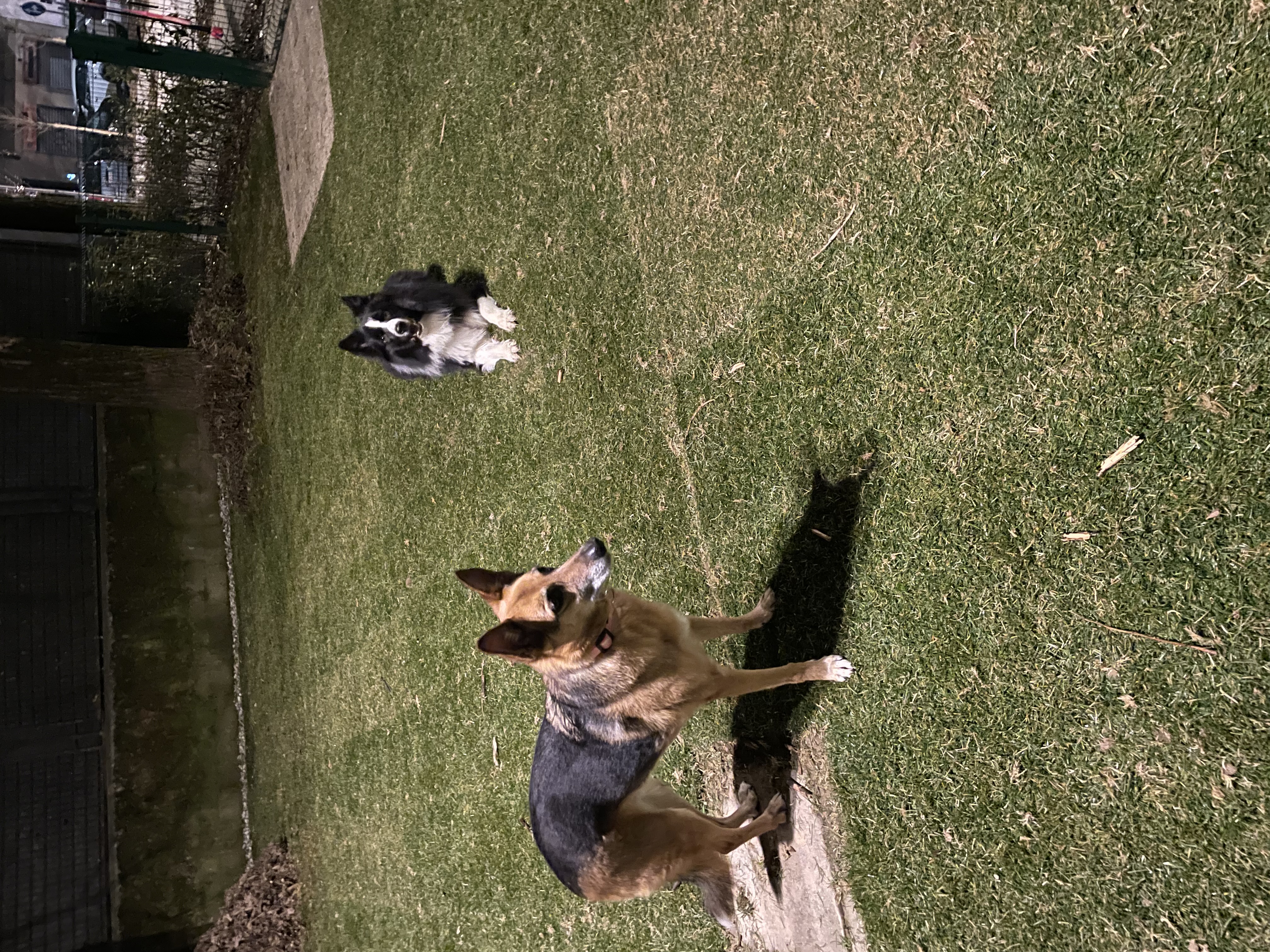 image-17