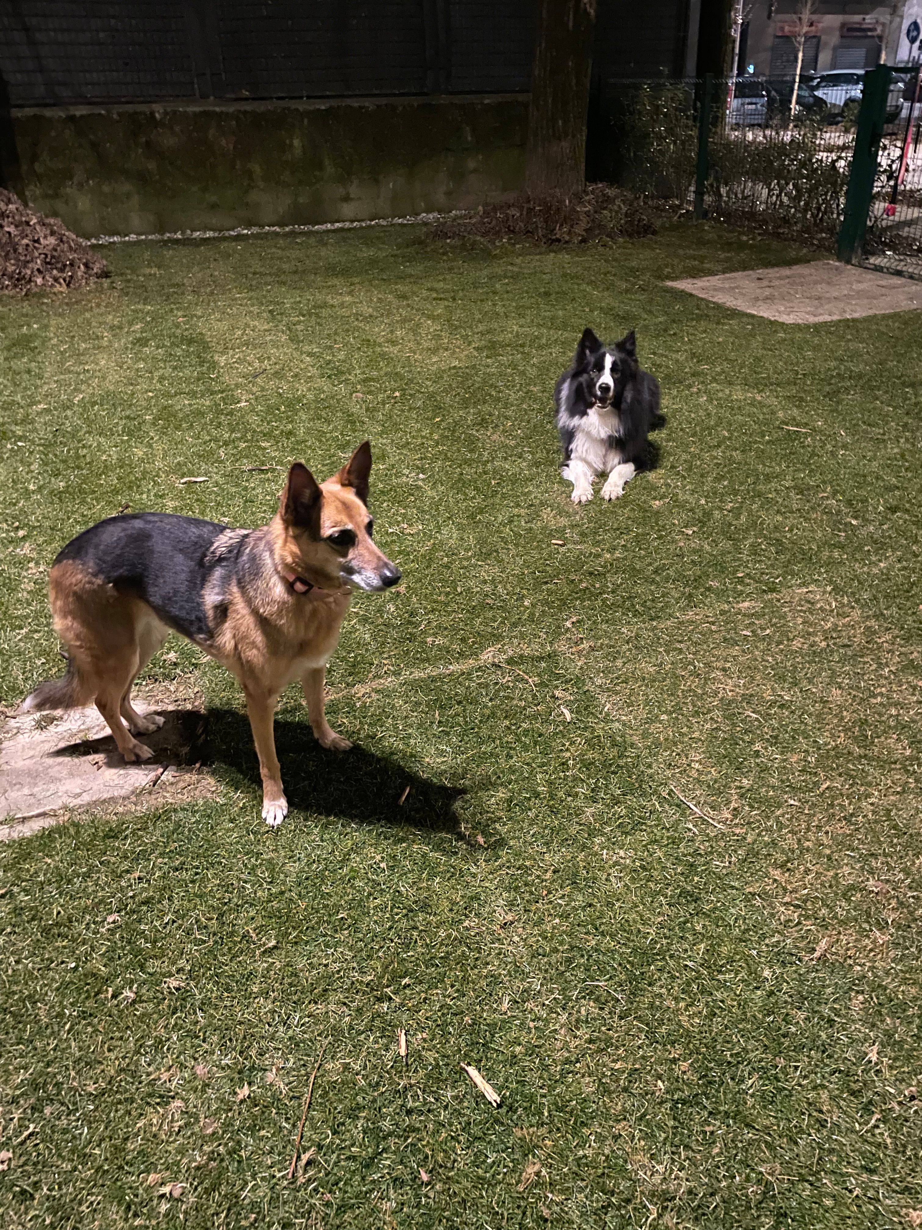 image-17