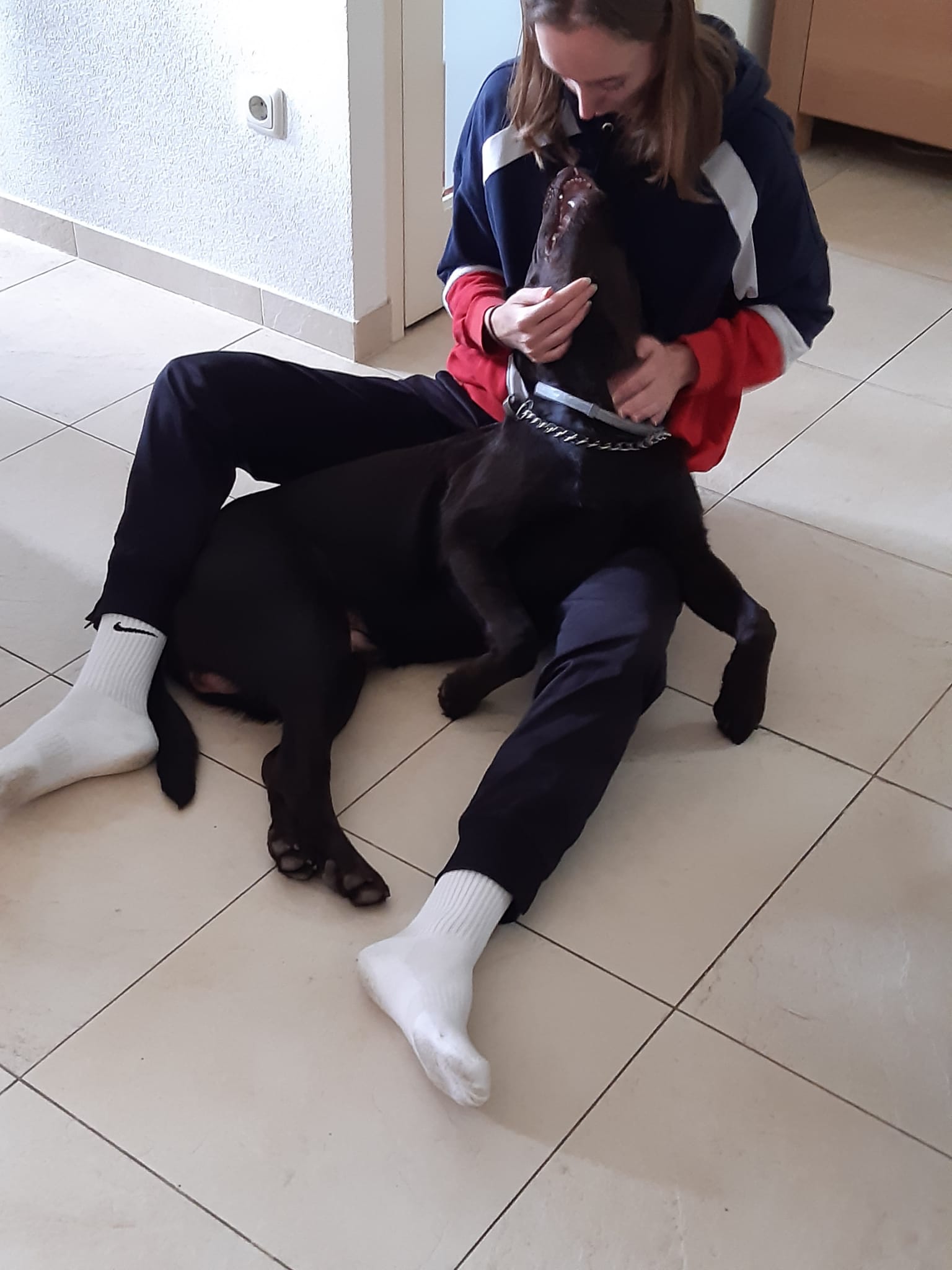 image-7