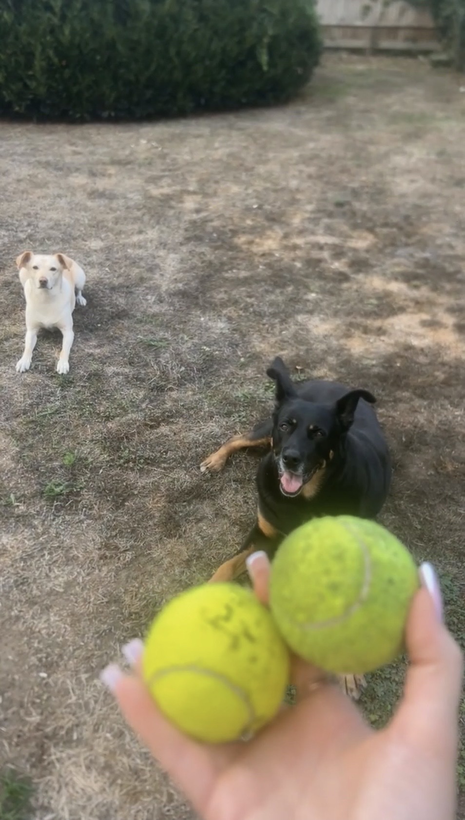image-19