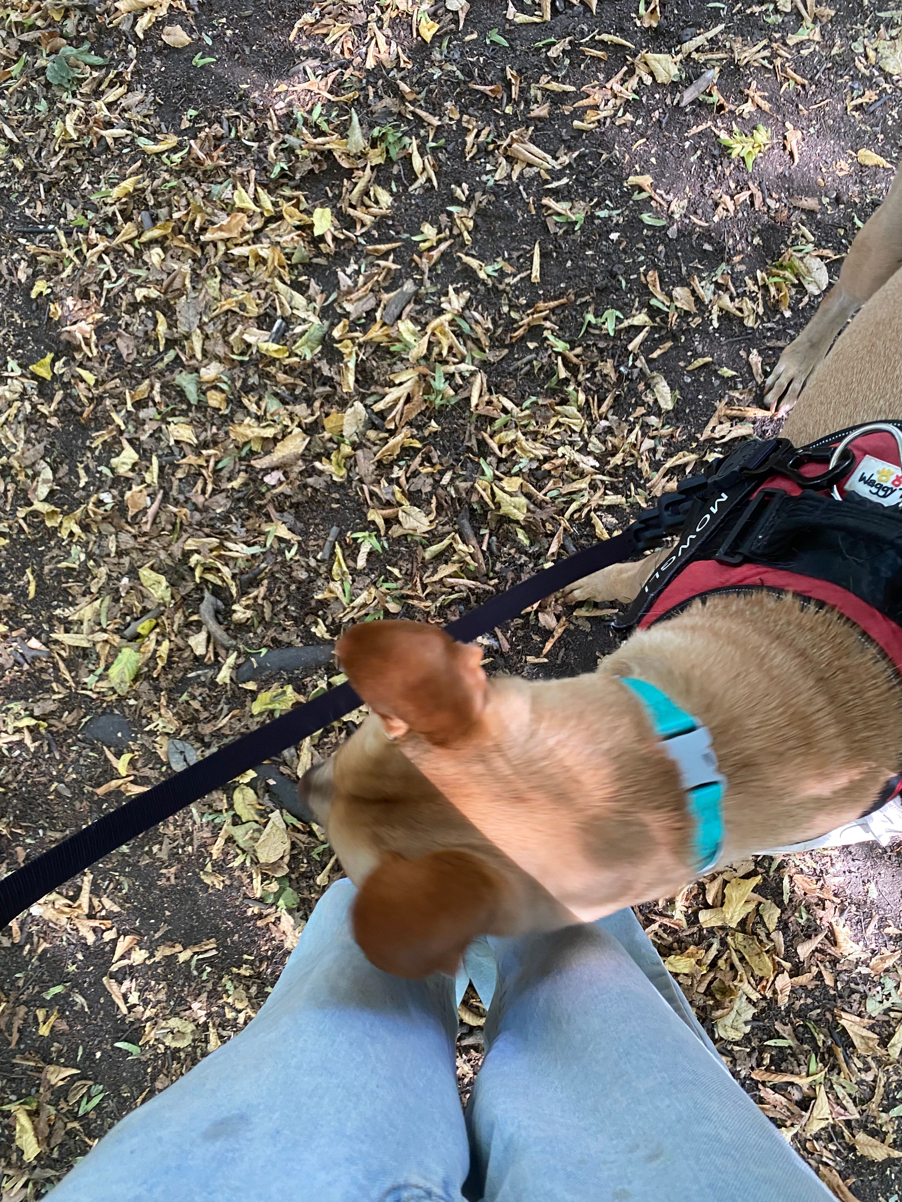 image-6