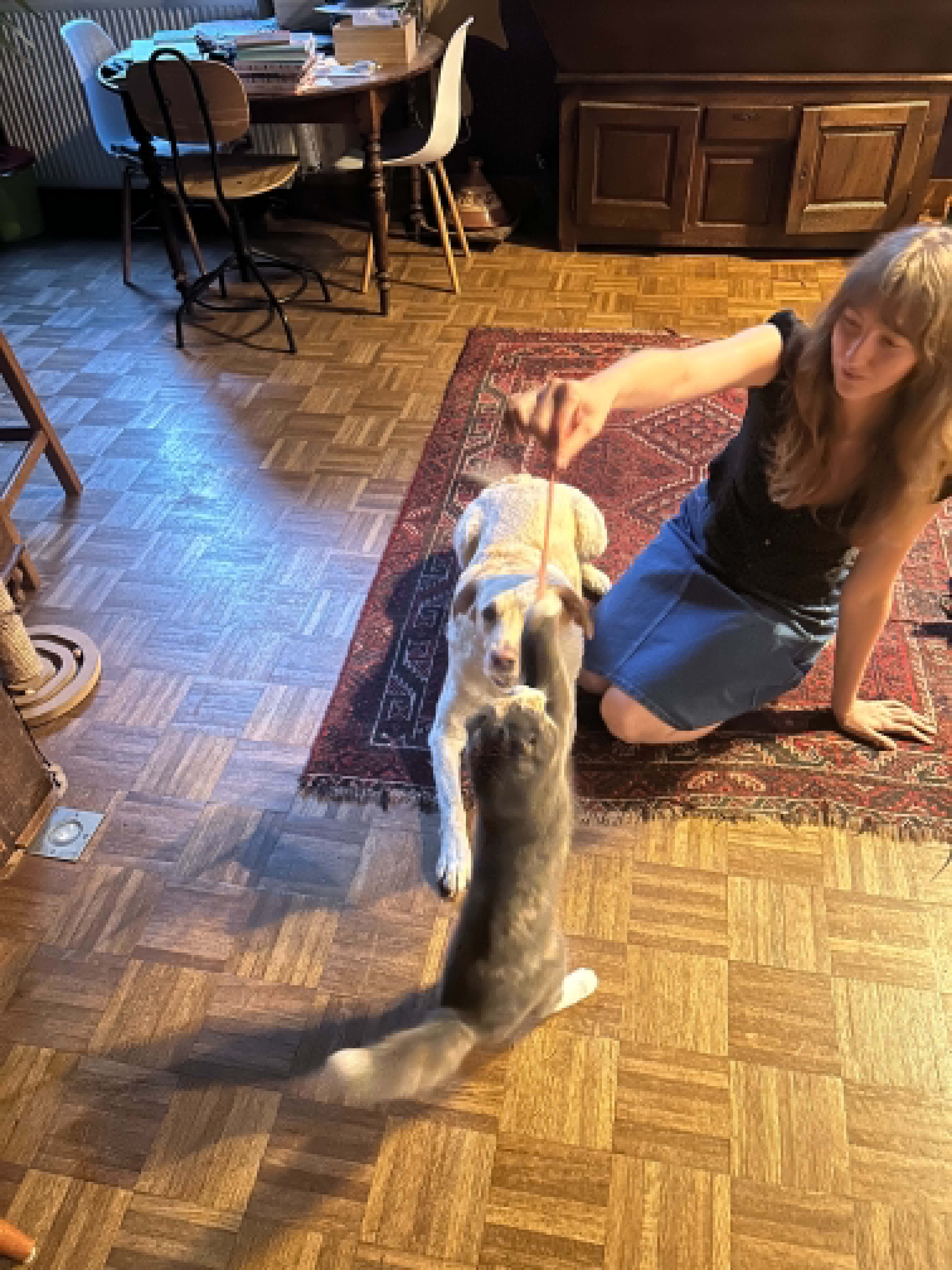 image-7