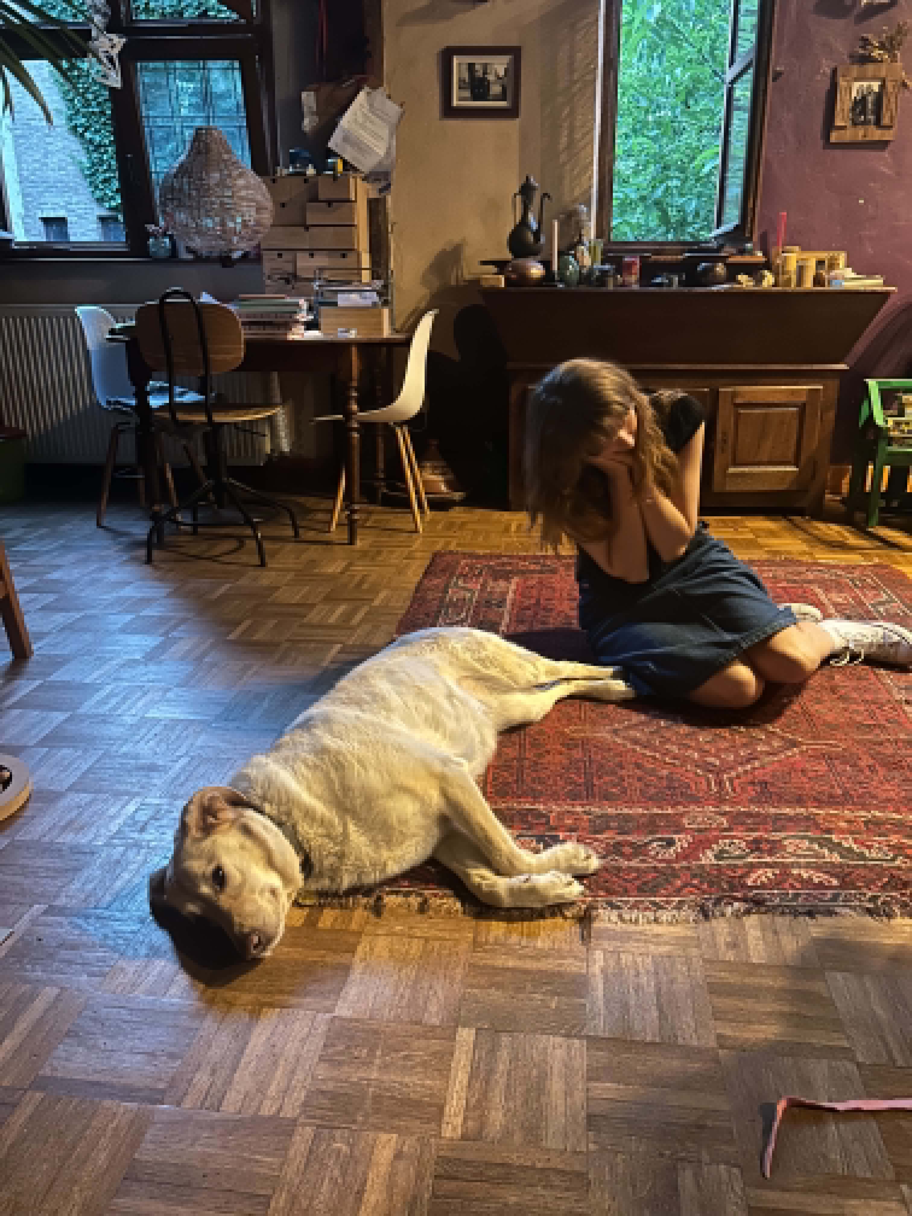image-13