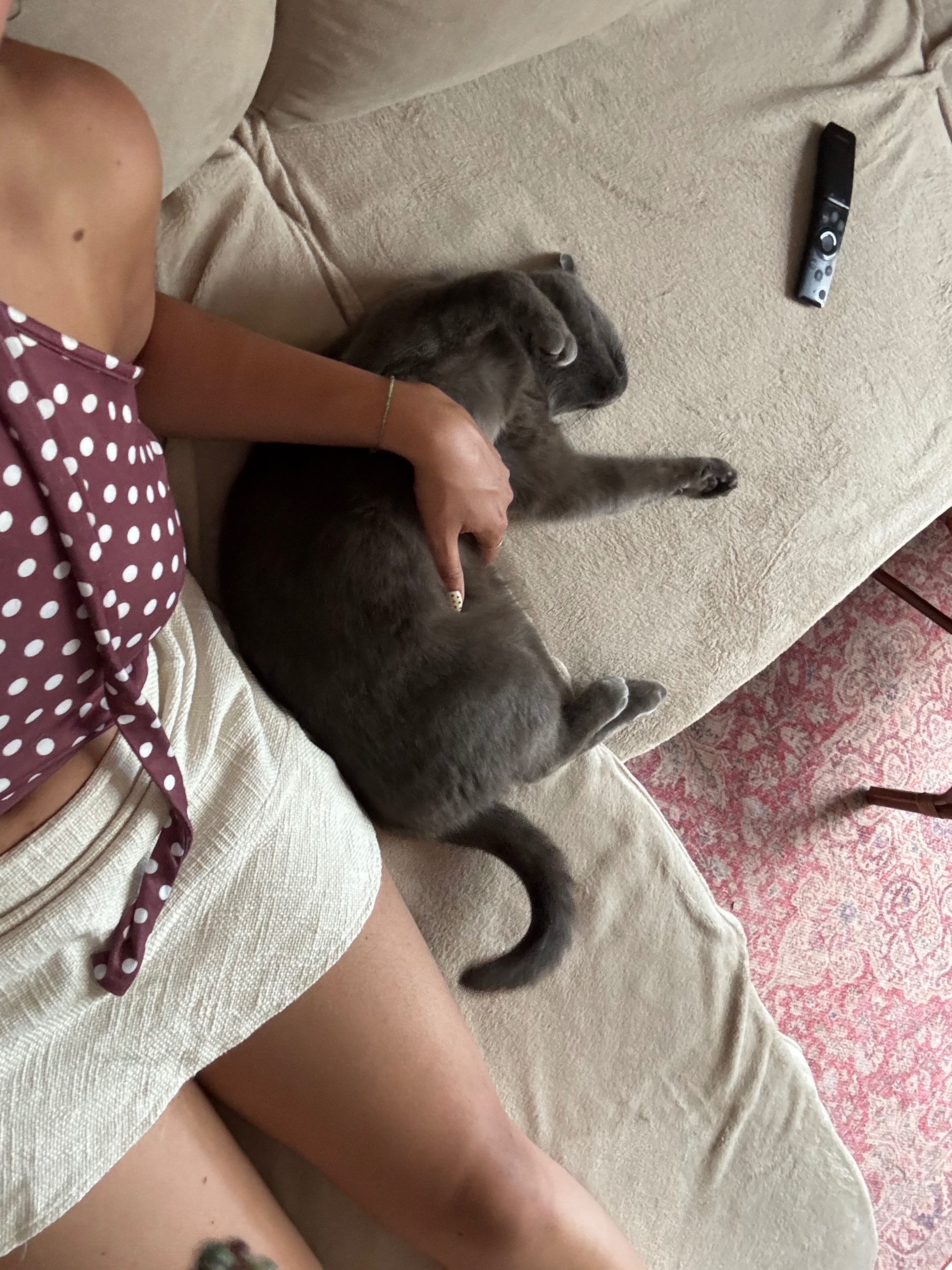 image-8