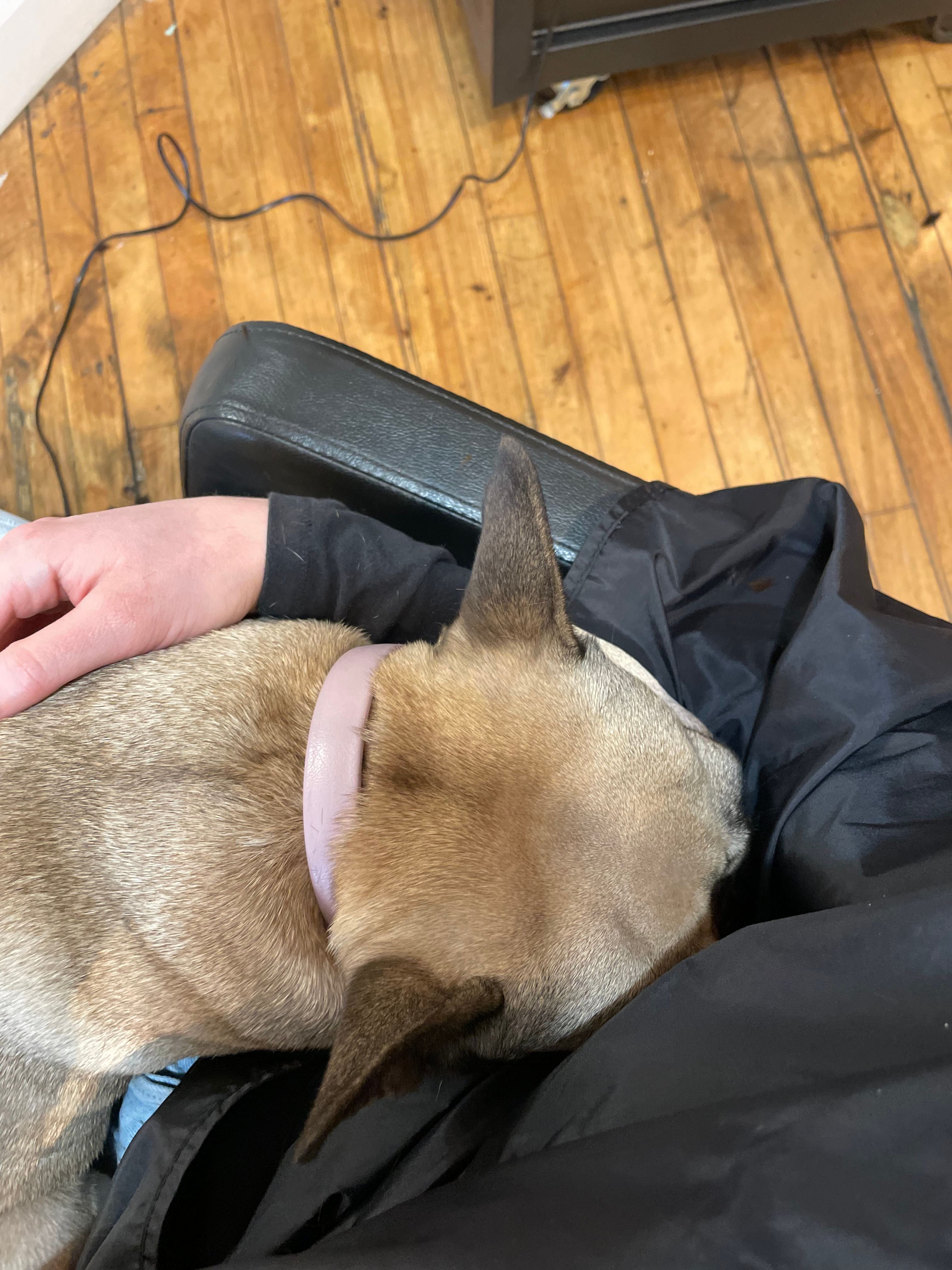 image-12