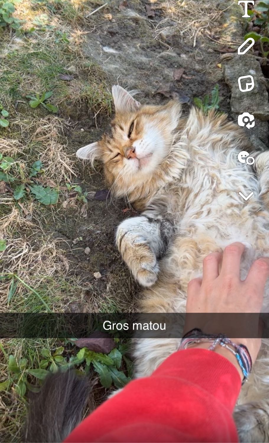 image-4