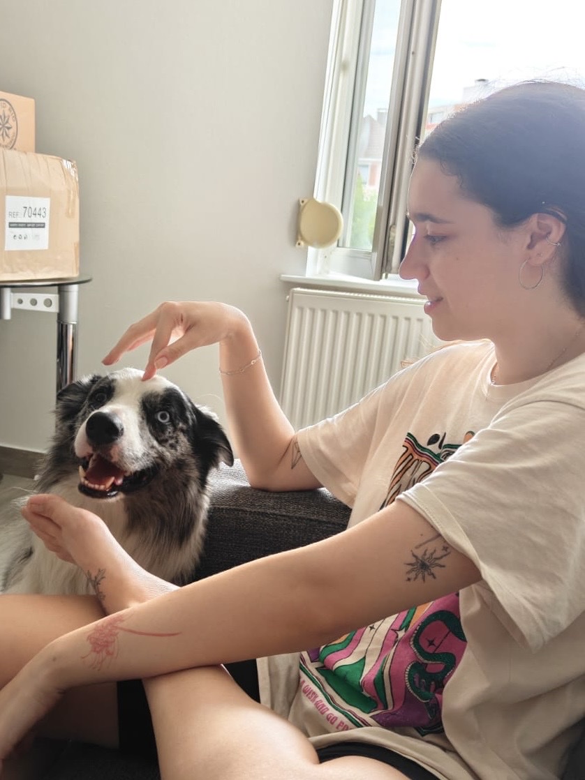 image-6
