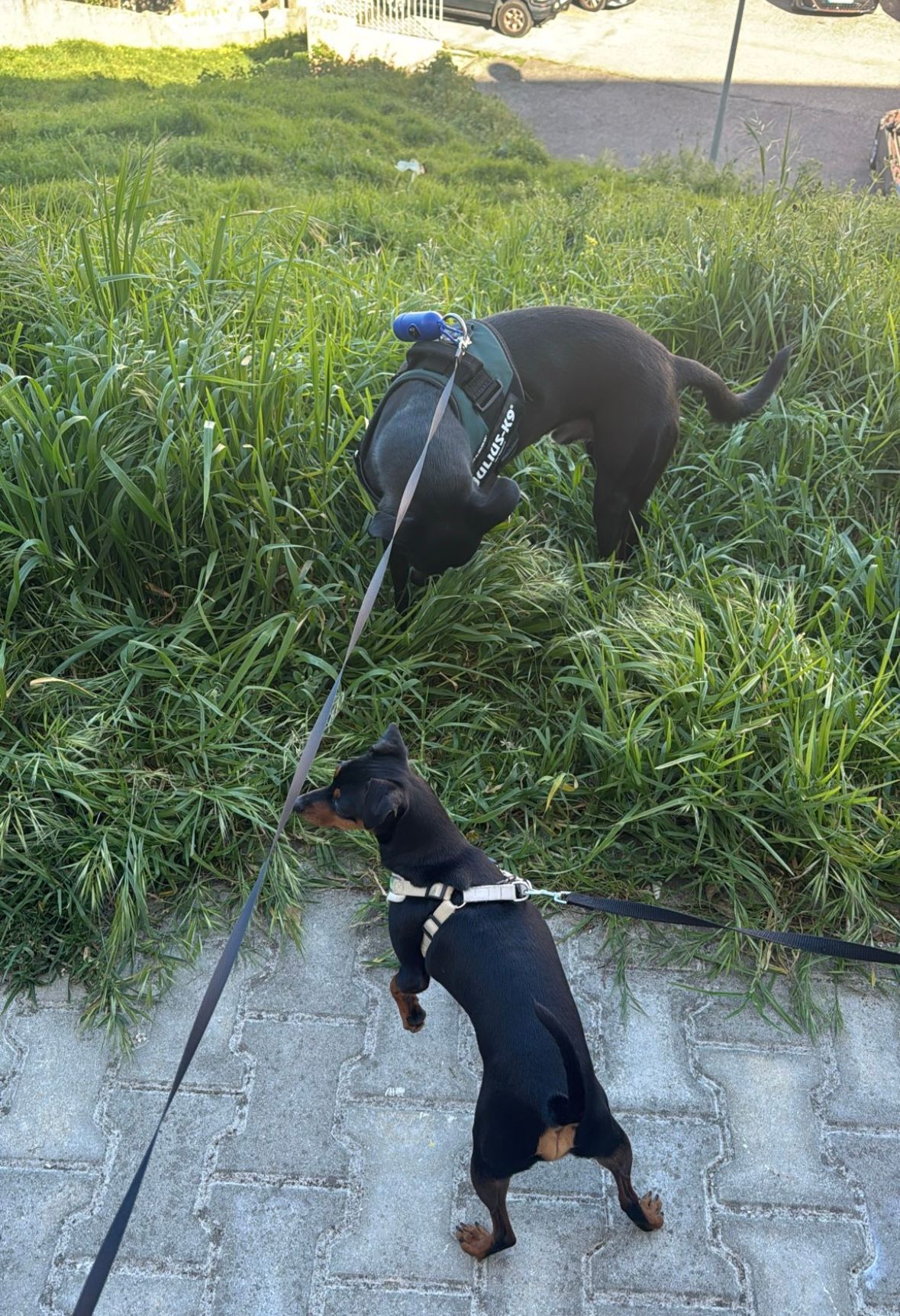 image-10