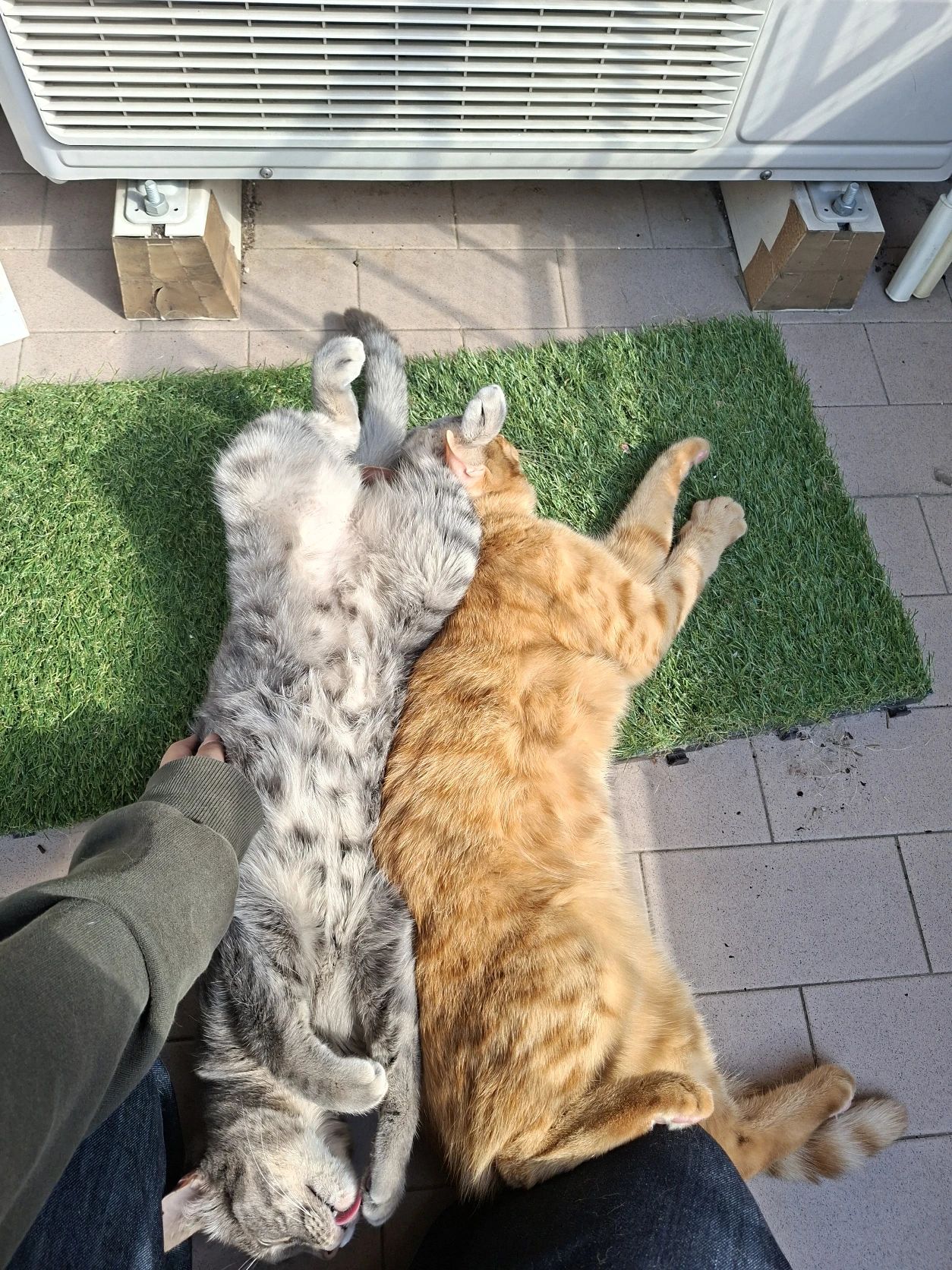 image-9