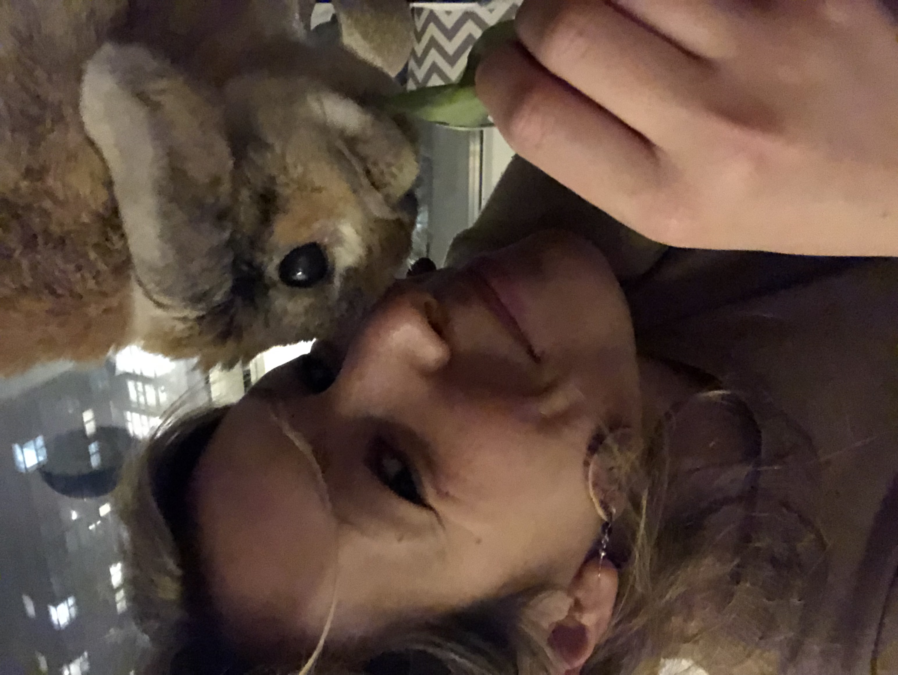 image-8