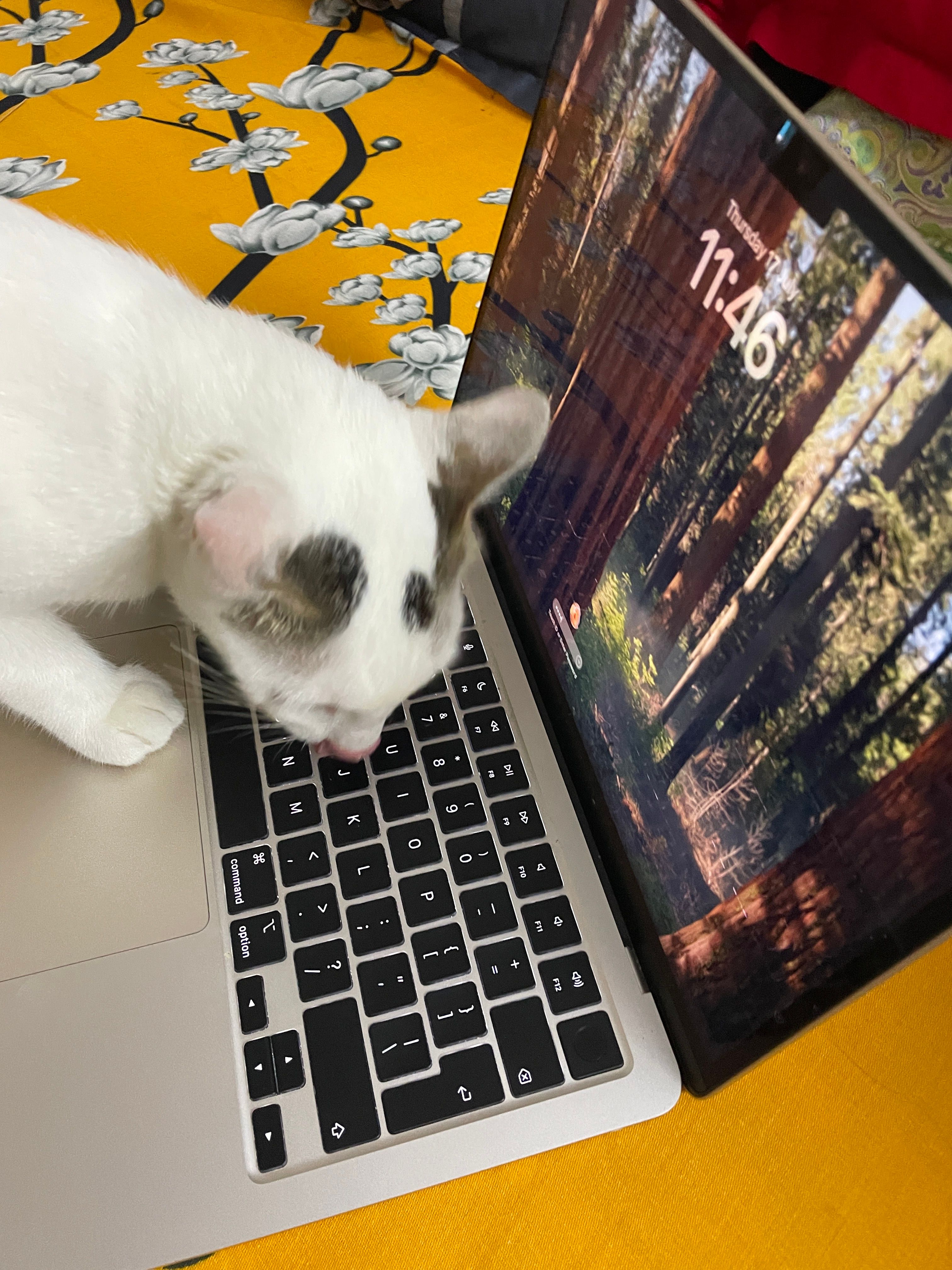 image-5