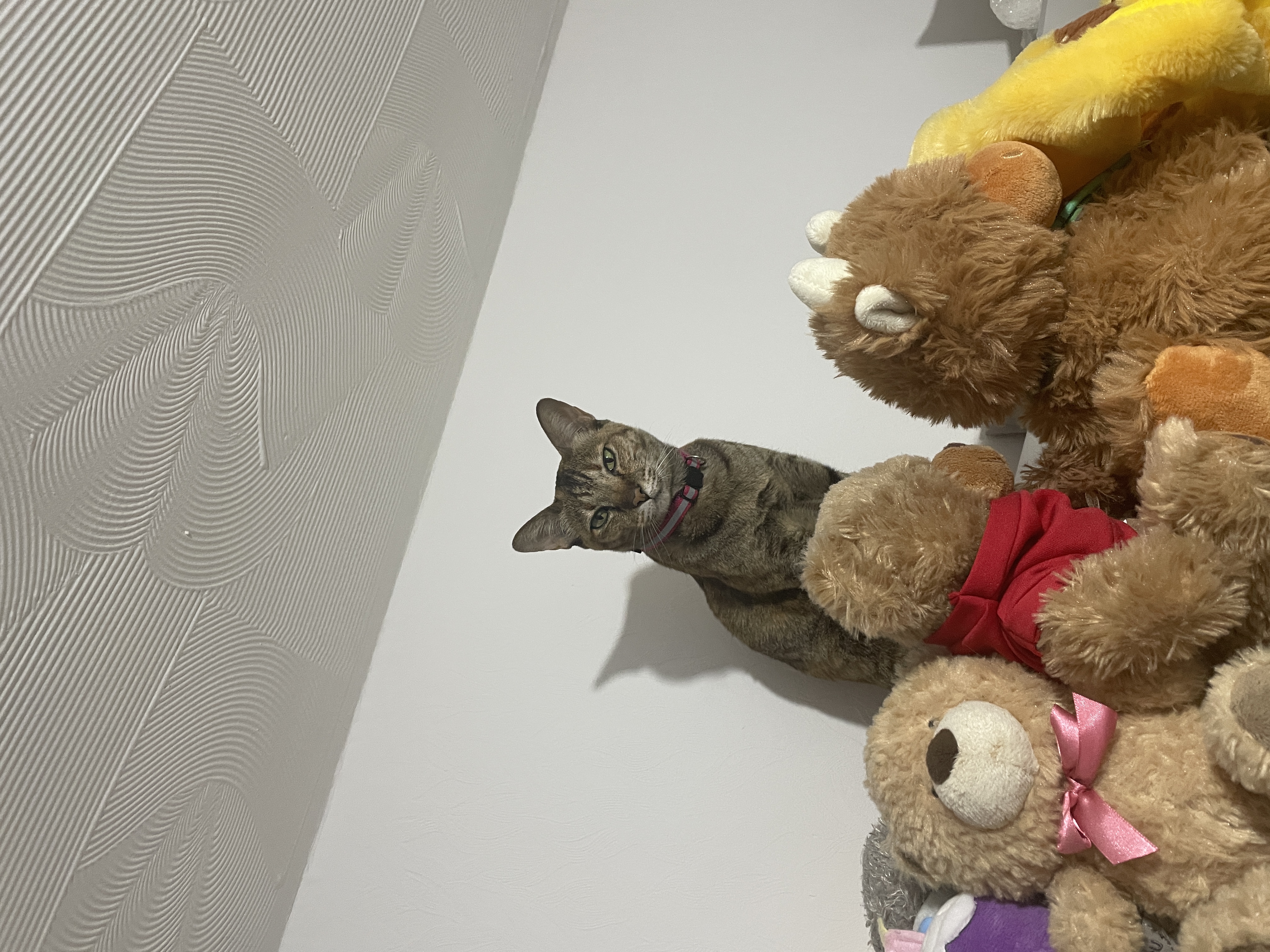 image-6