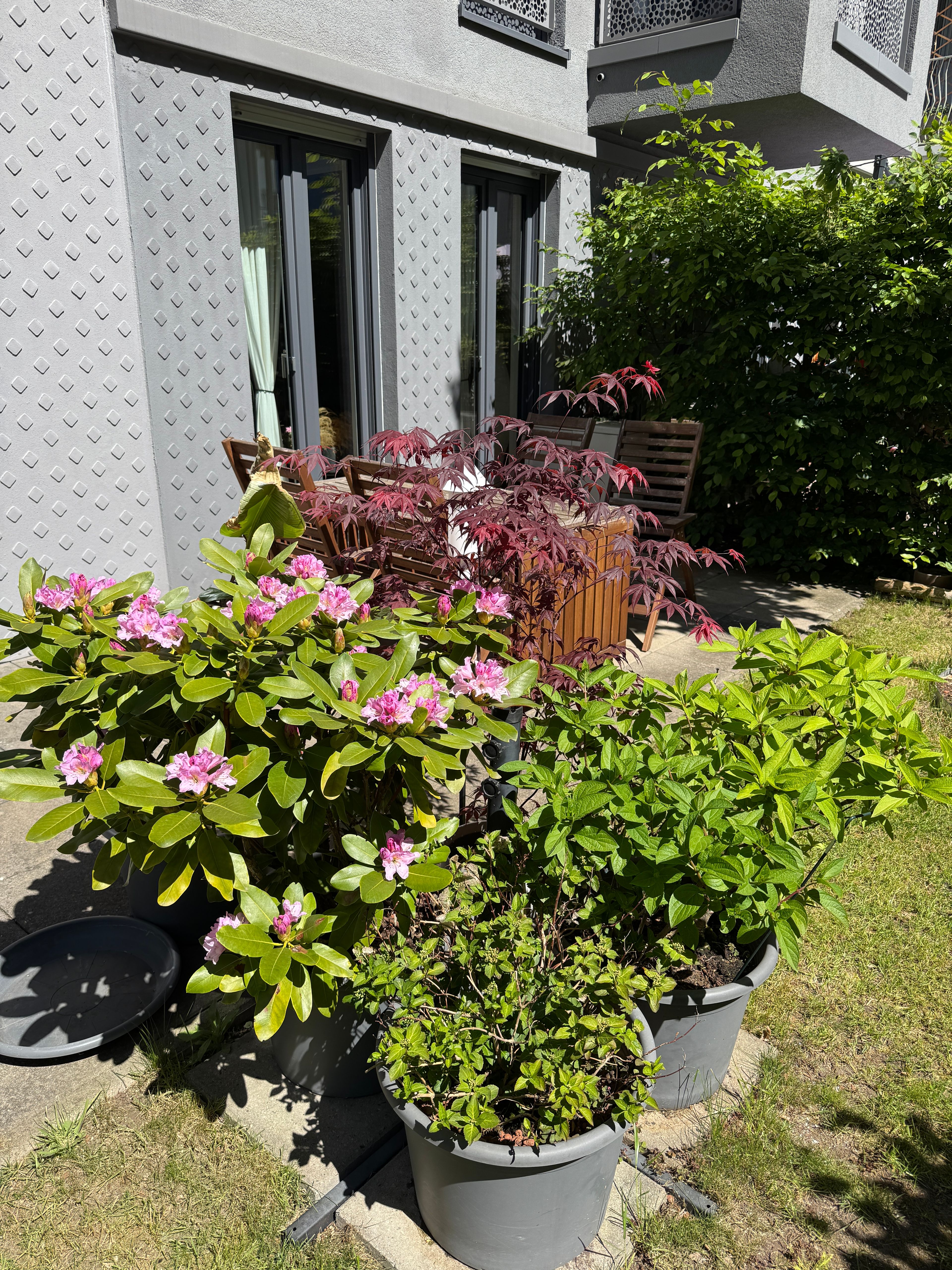 image-18