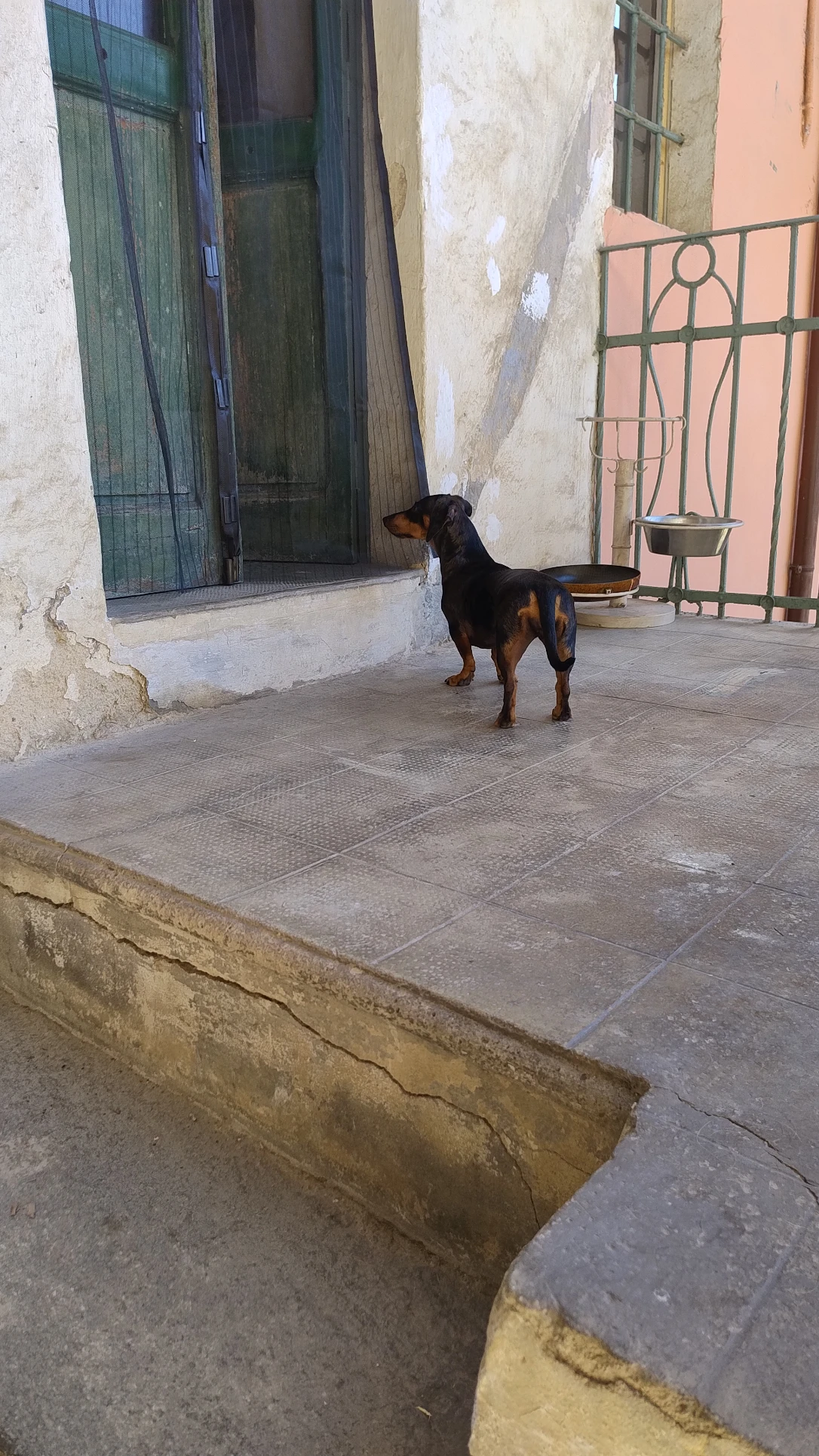 image-36