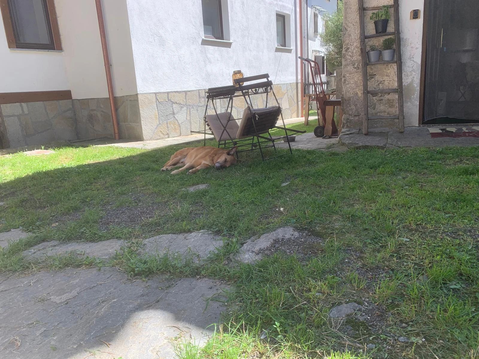 image-37