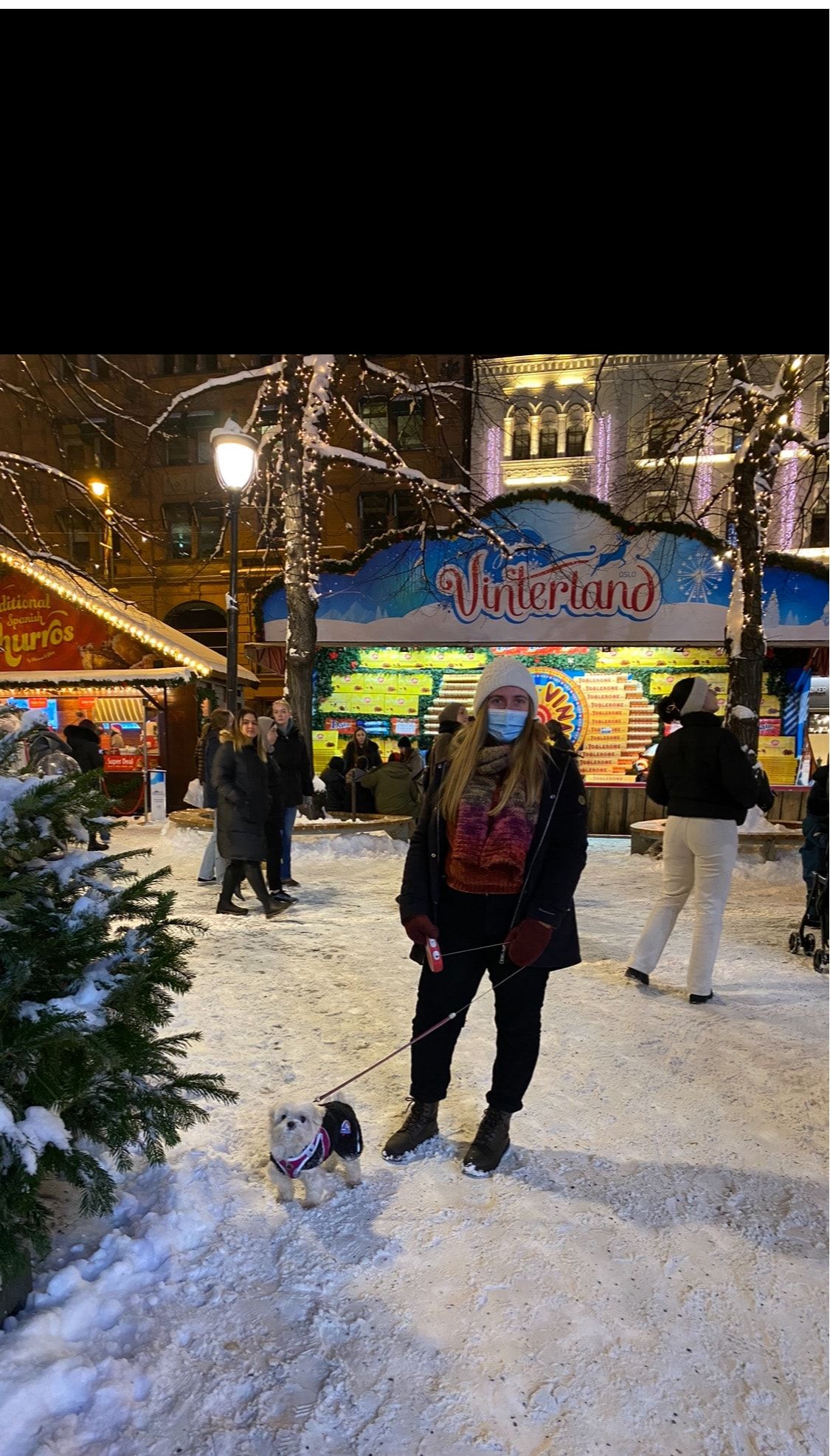 image-12